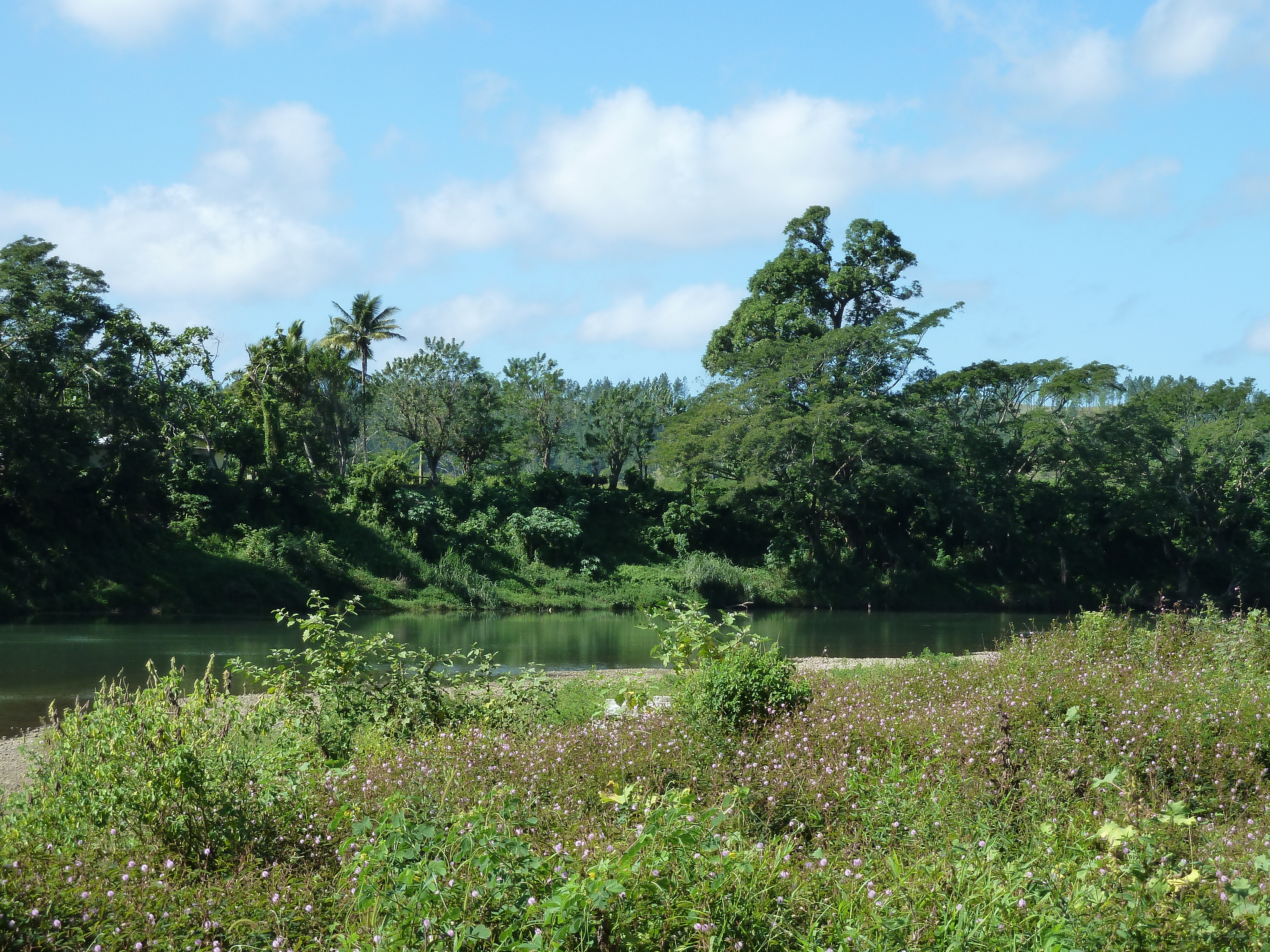 Picture Fiji Sigatoka river 2010-05 32 - History Sigatoka river