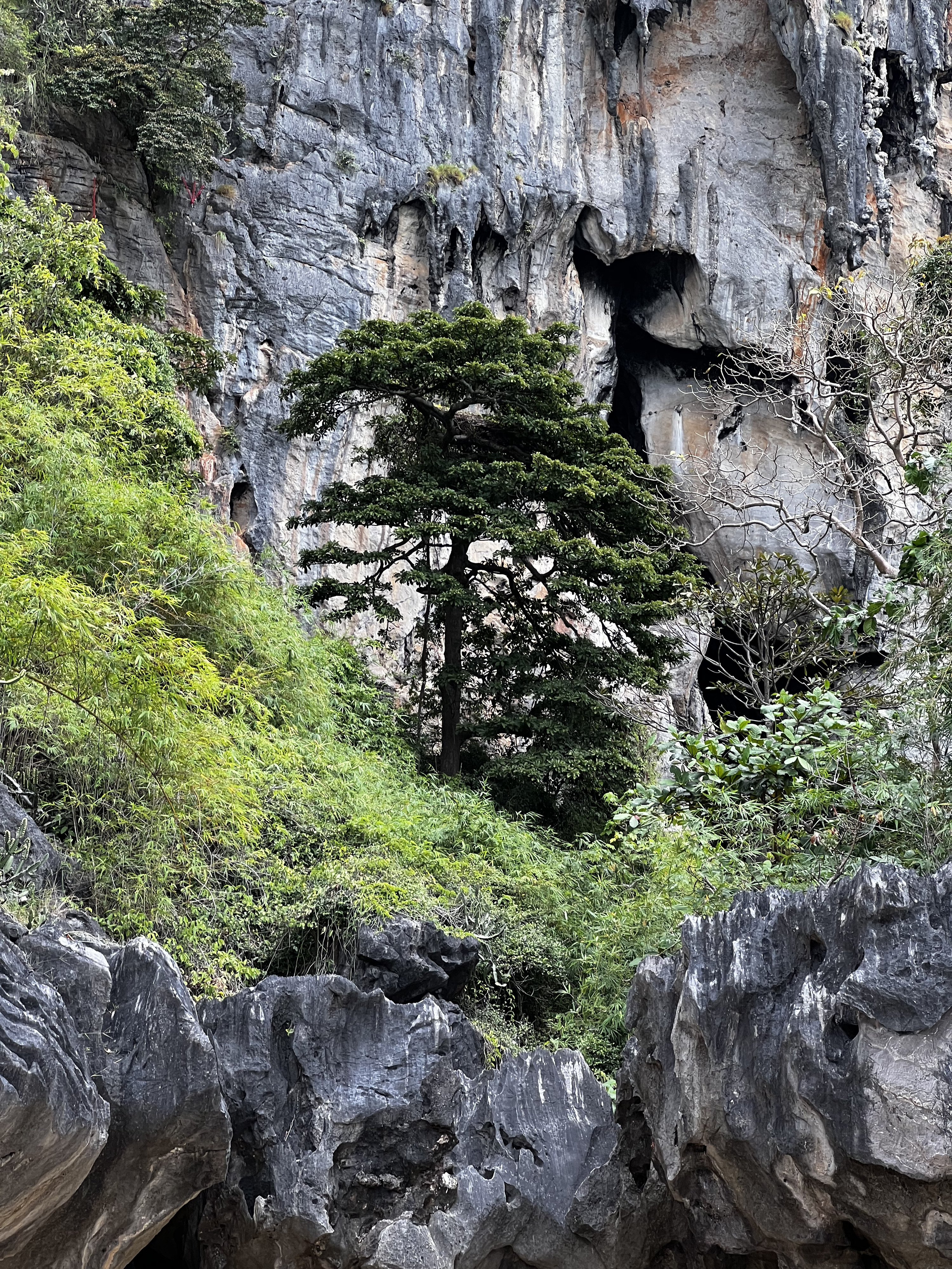 Picture Thailand Krabi 2023-01 292 - History Krabi