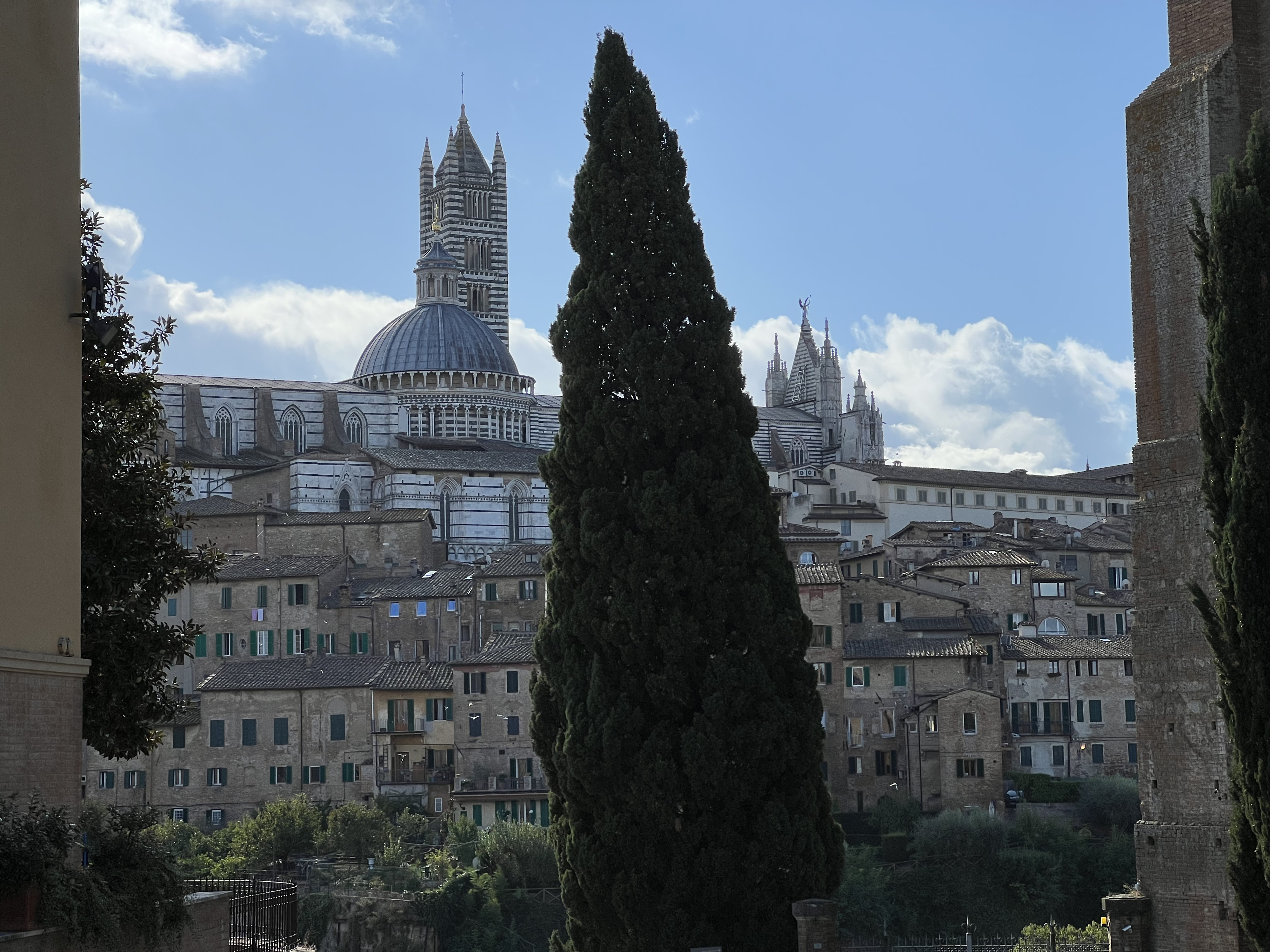 Picture Italy Siena 2021-09 163 - History Siena