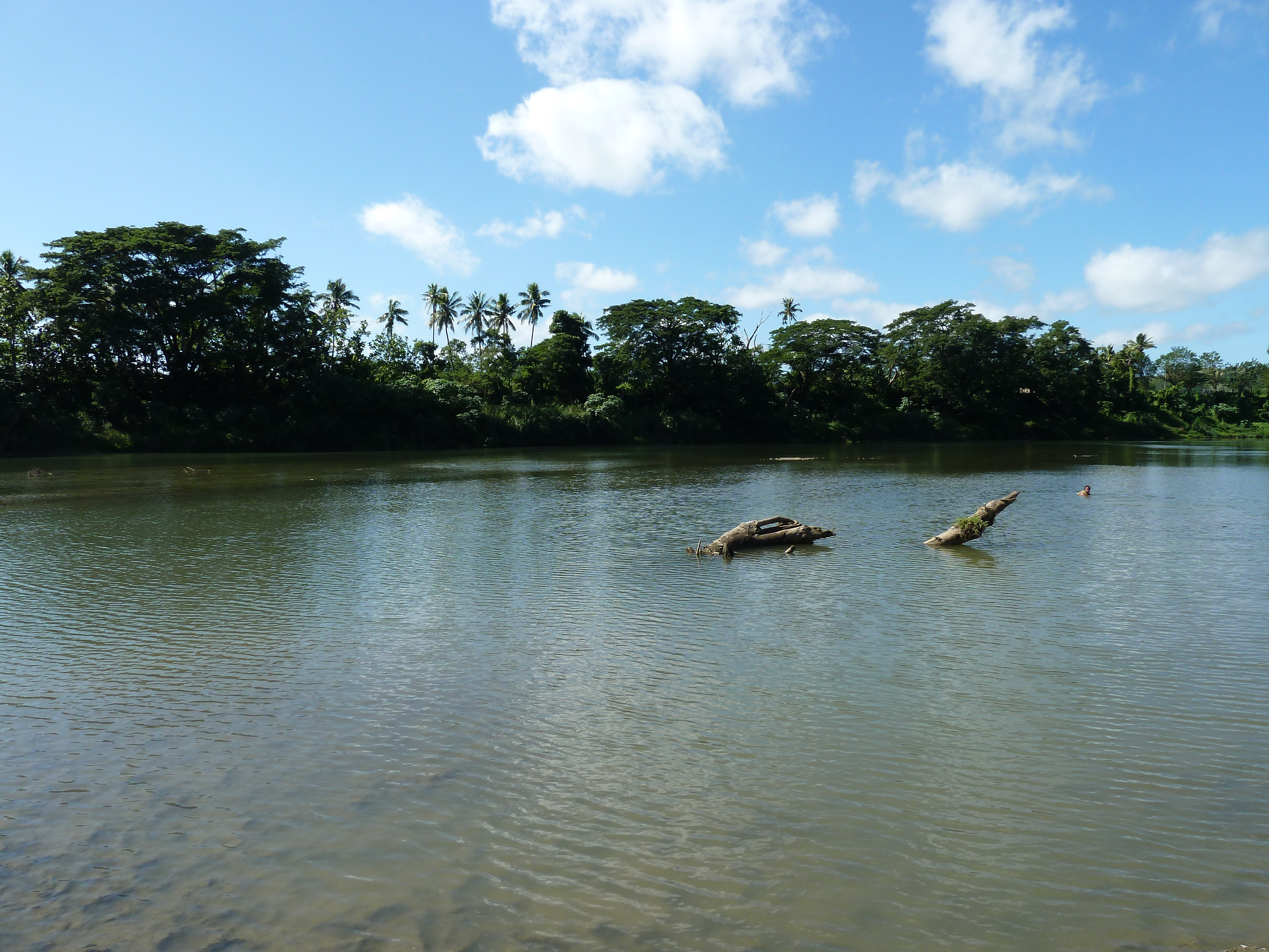 Picture Fiji Sigatoka river 2010-05 0 - Around Sigatoka river