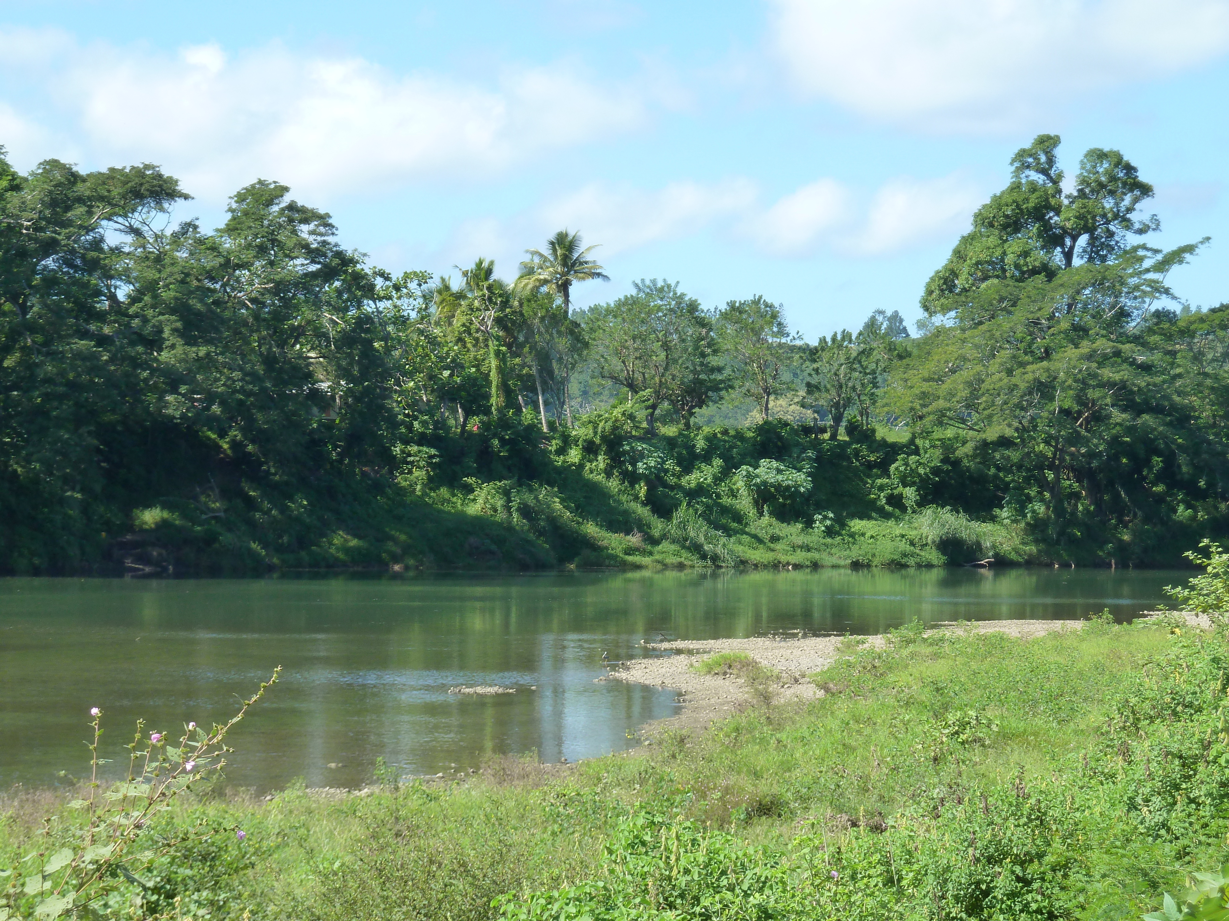 Picture Fiji Sigatoka river 2010-05 11 - Discovery Sigatoka river