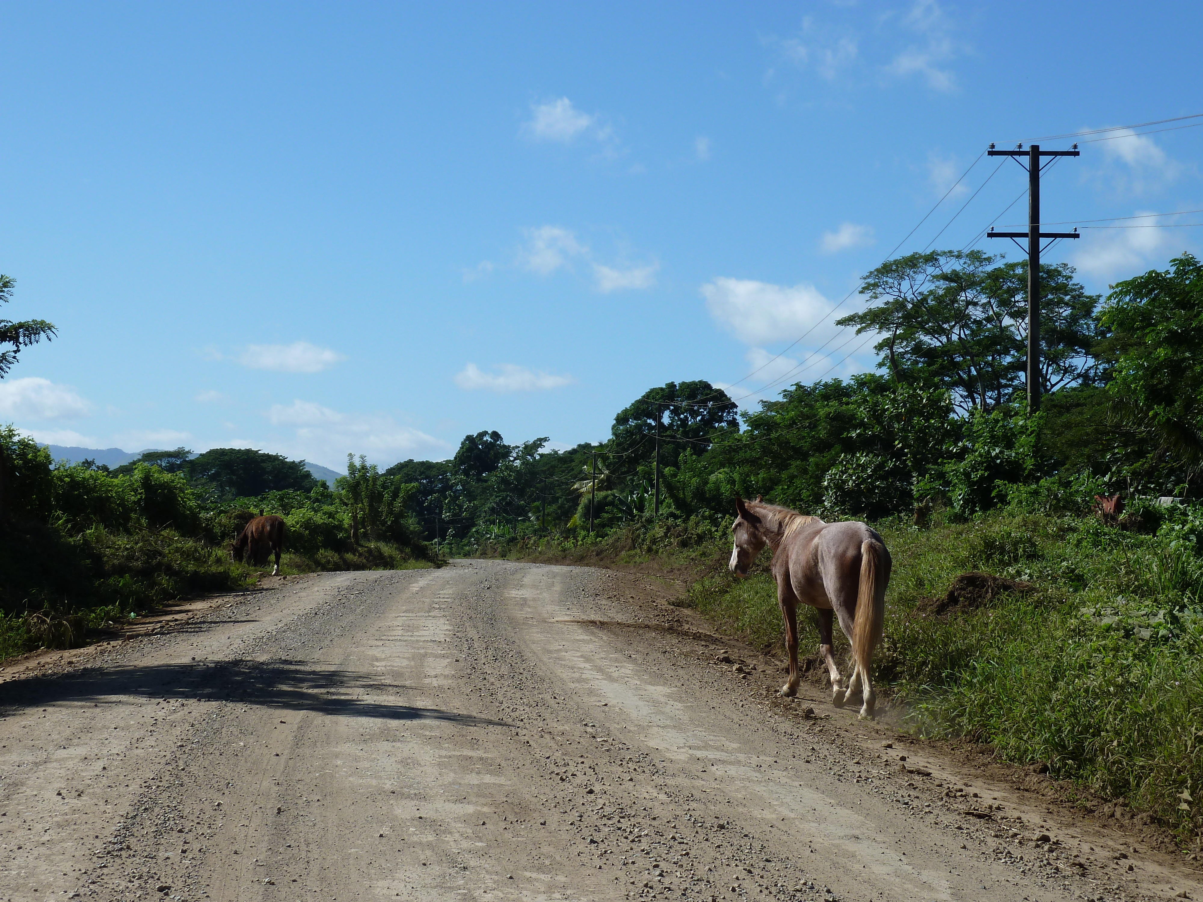 Picture Fiji Sigatoka river 2010-05 92 - Journey Sigatoka river