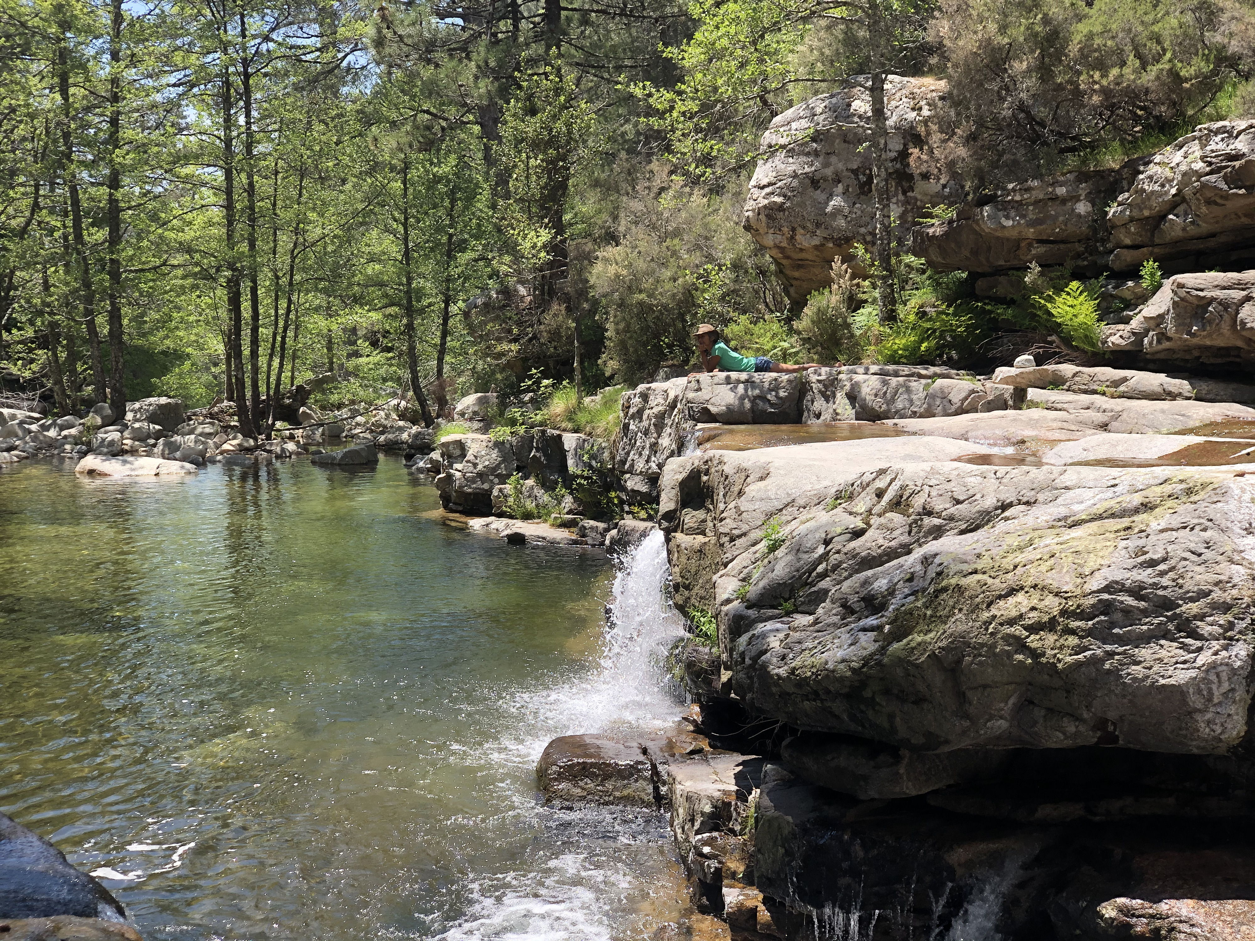 Picture France Corsica Aitone Forest 2021-06 19 - Journey Aitone Forest