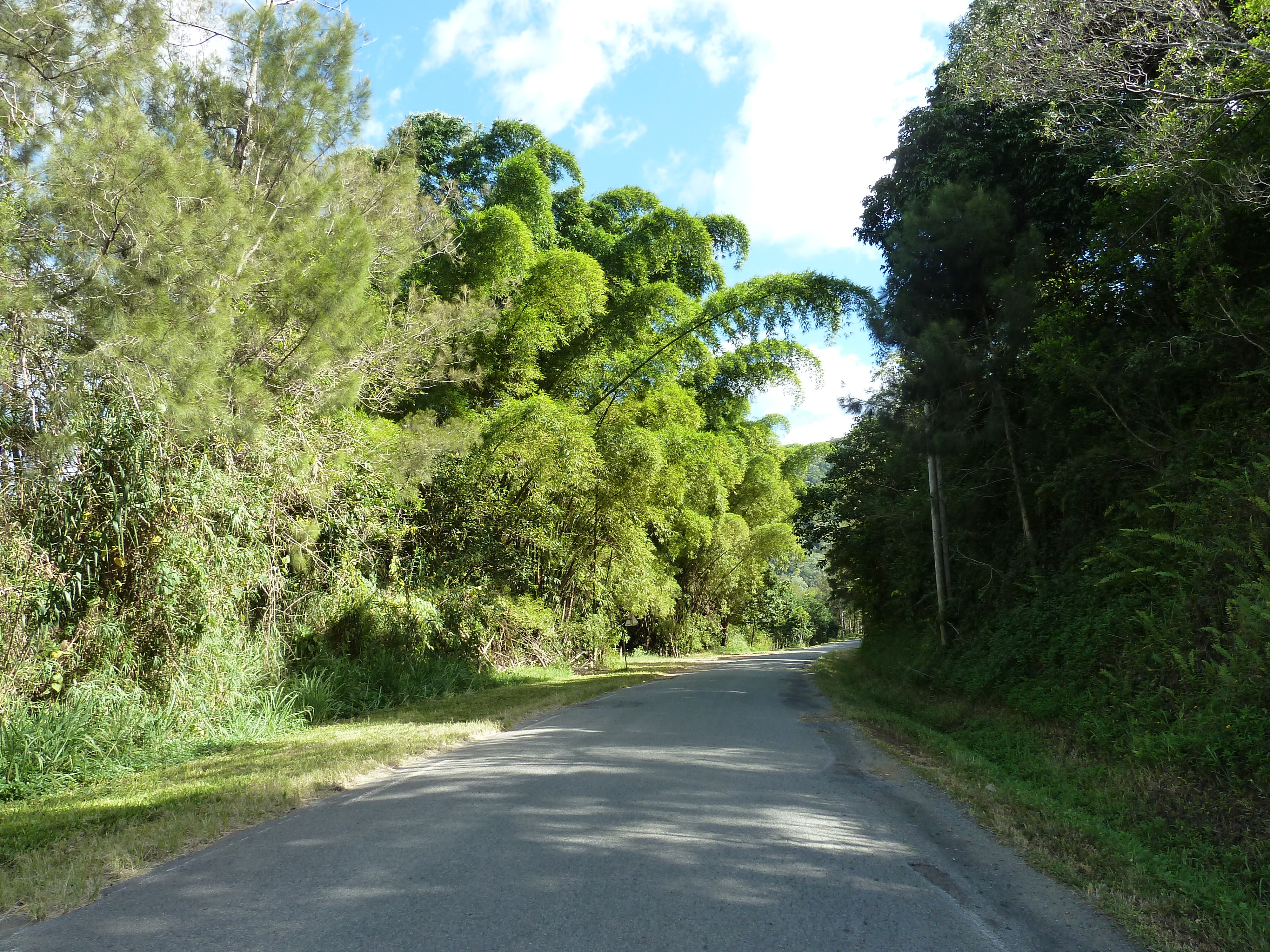 Picture New Caledonia Tontouta to Thio road 2010-05 35 - Around Tontouta to Thio road