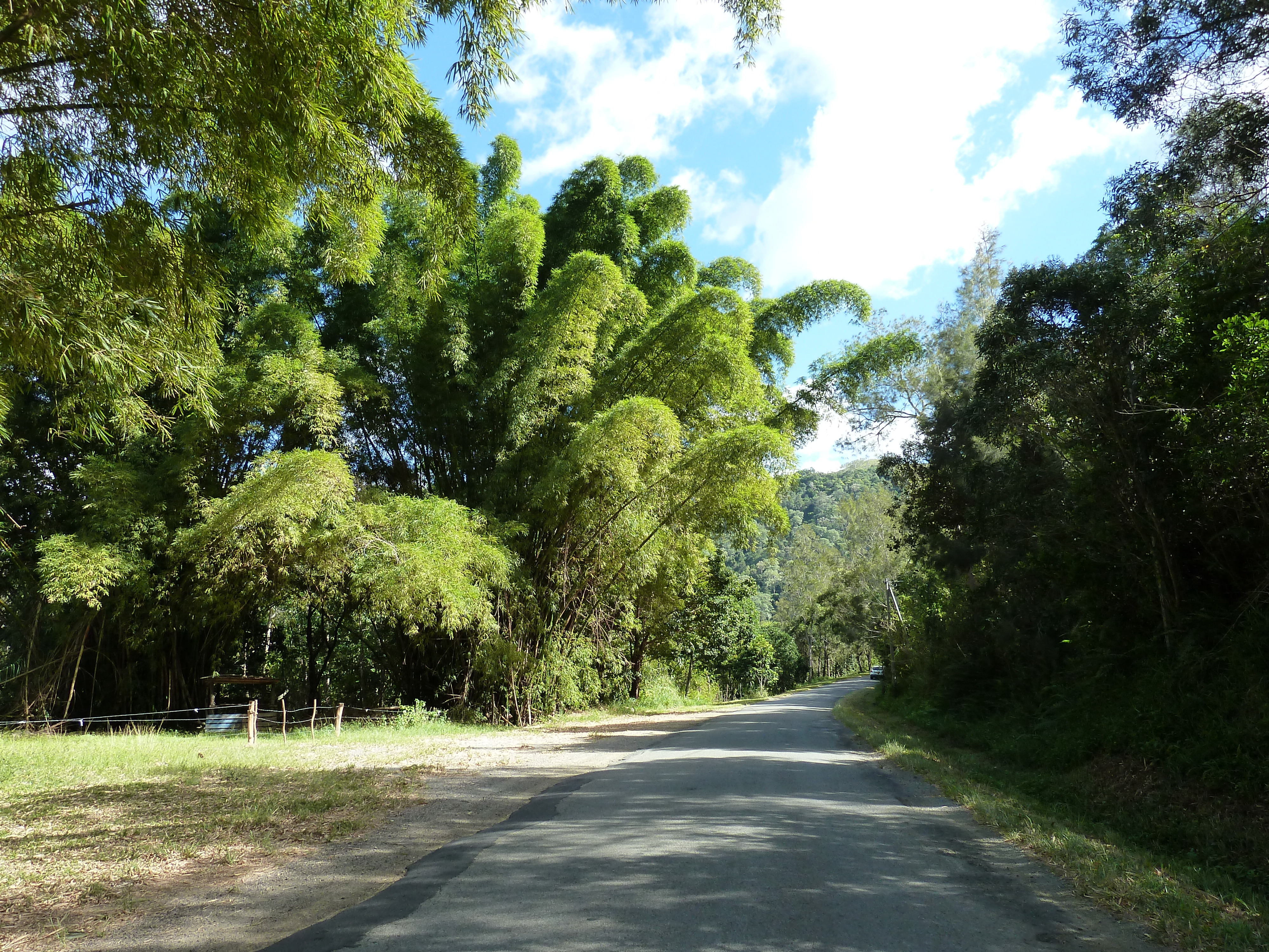 Picture New Caledonia 2010-05 16 - Around New Caledonia