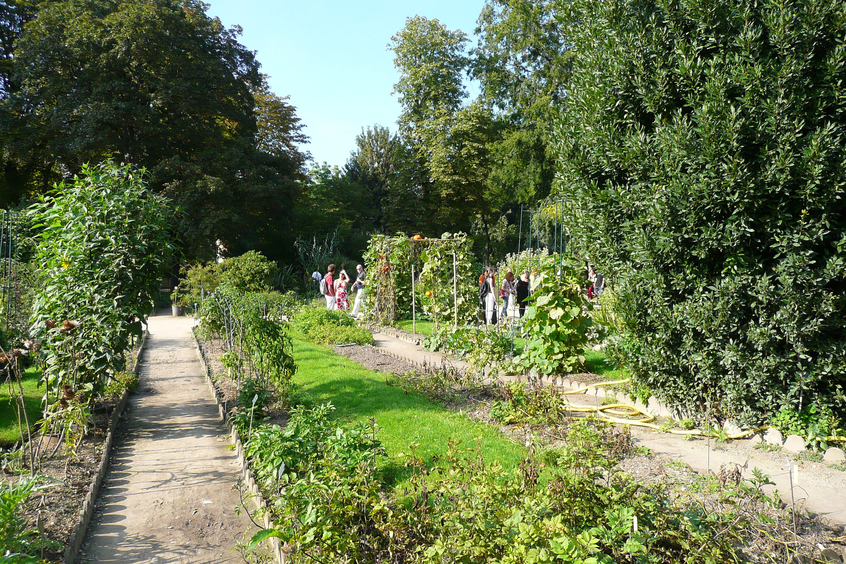 Picture France Paris Jardin des Plantes 2007-08 77 - Discovery Jardin des Plantes