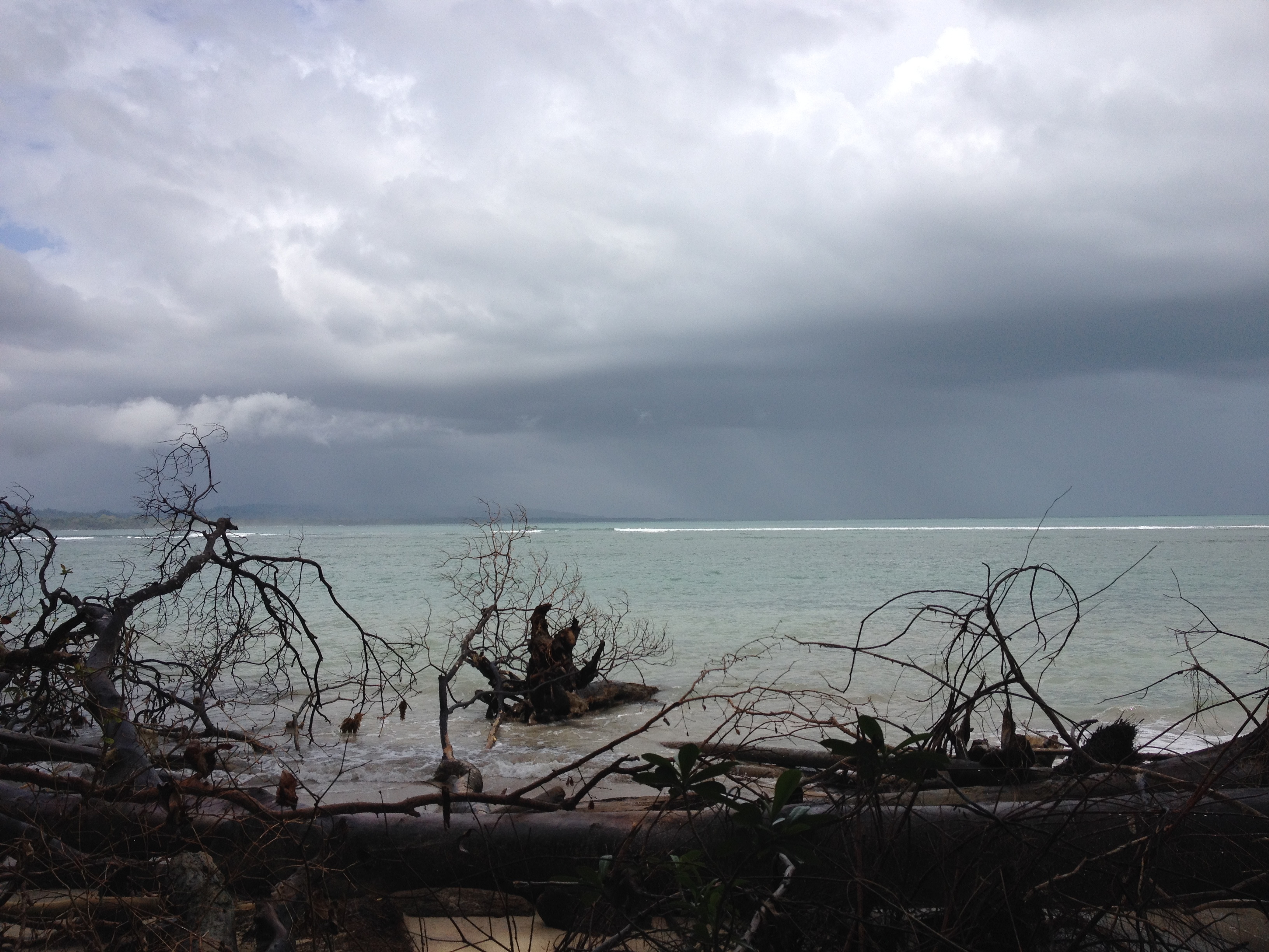 Picture Costa Rica Cahuita 2015-03 54 - Tours Cahuita