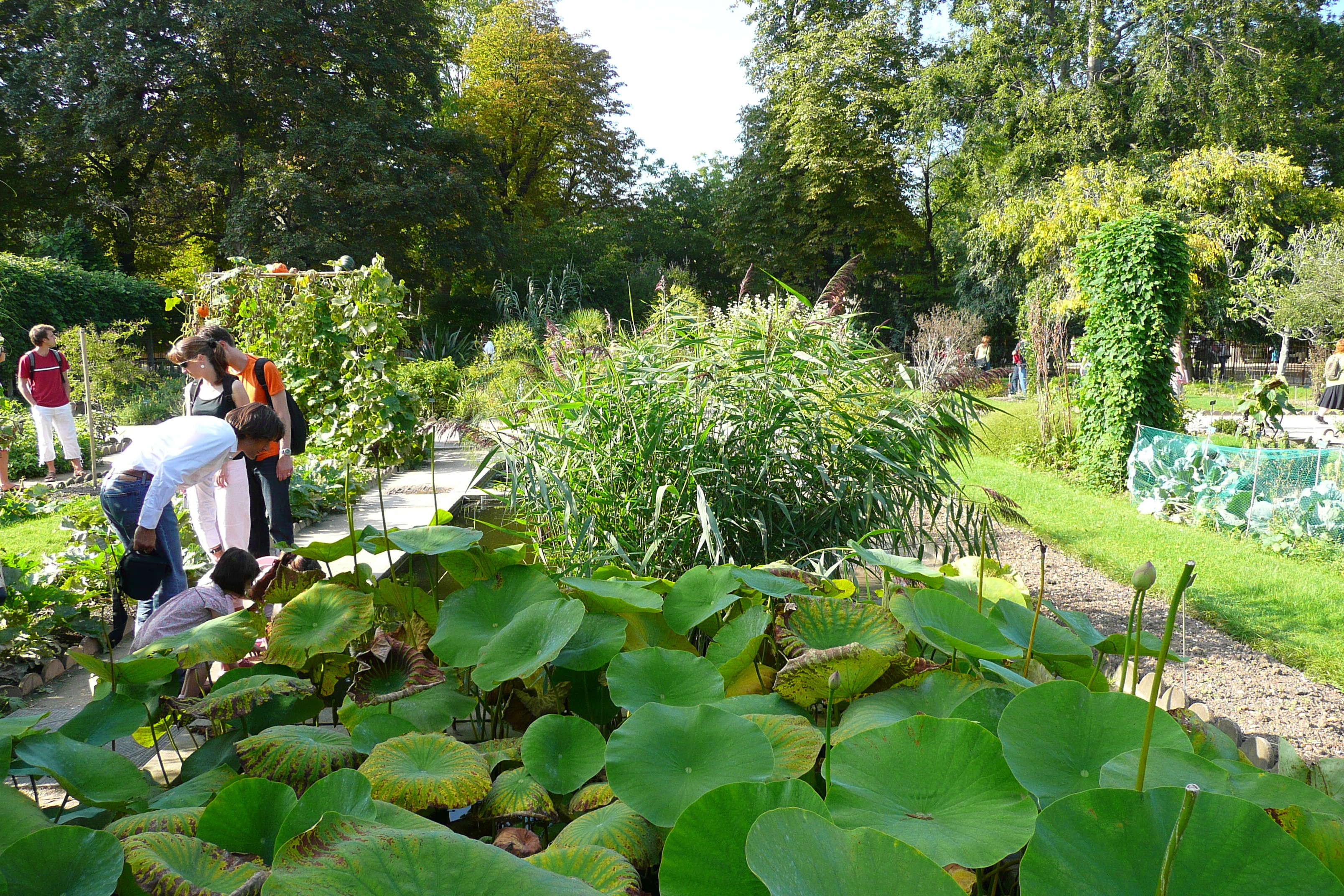 Picture France Paris Jardin des Plantes 2007-08 74 - History Jardin des Plantes