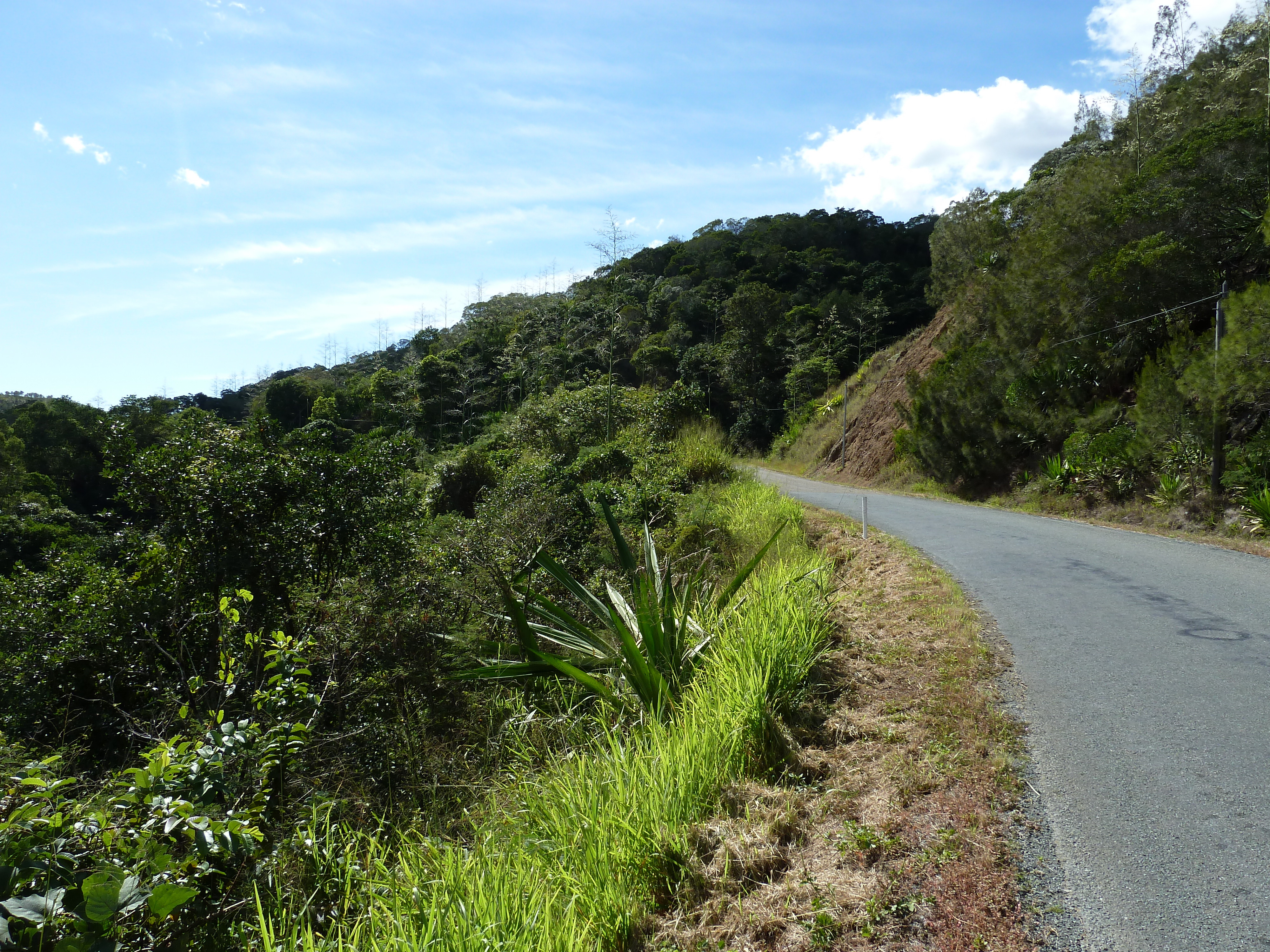 Picture New Caledonia Tontouta to Thio road 2010-05 103 - Recreation Tontouta to Thio road