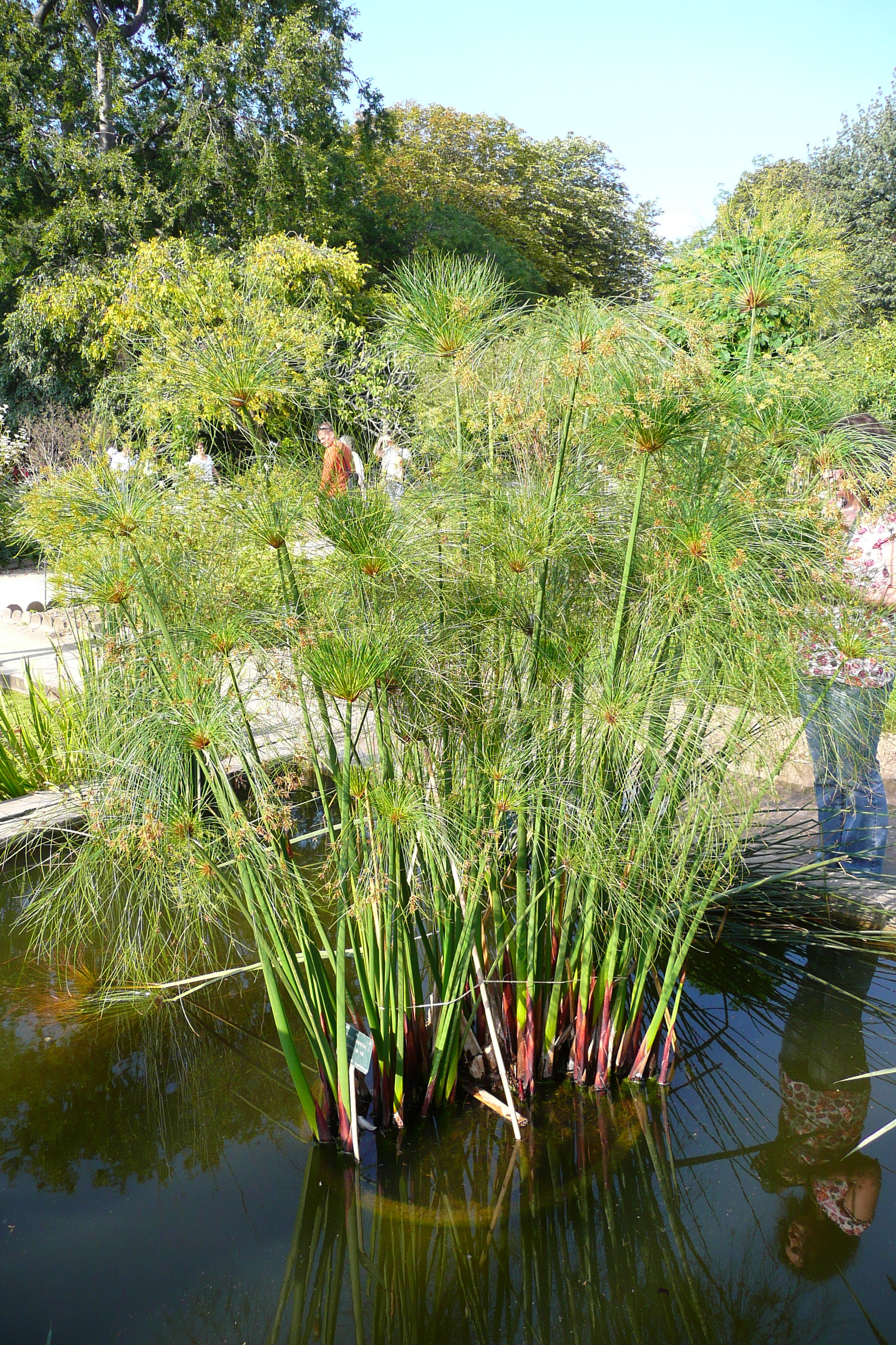 Picture France Paris Jardin des Plantes 2007-08 162 - Tour Jardin des Plantes