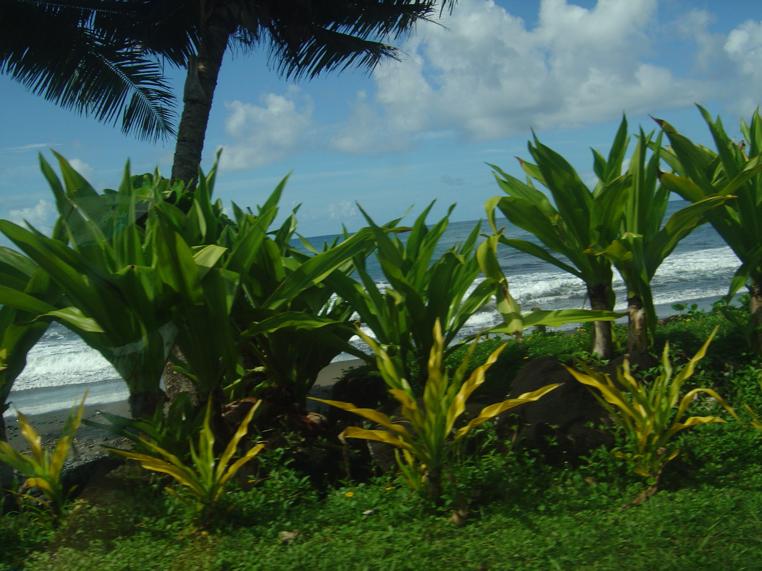 Picture Polynesia Tahiti 2006-04 34 - Tours Tahiti