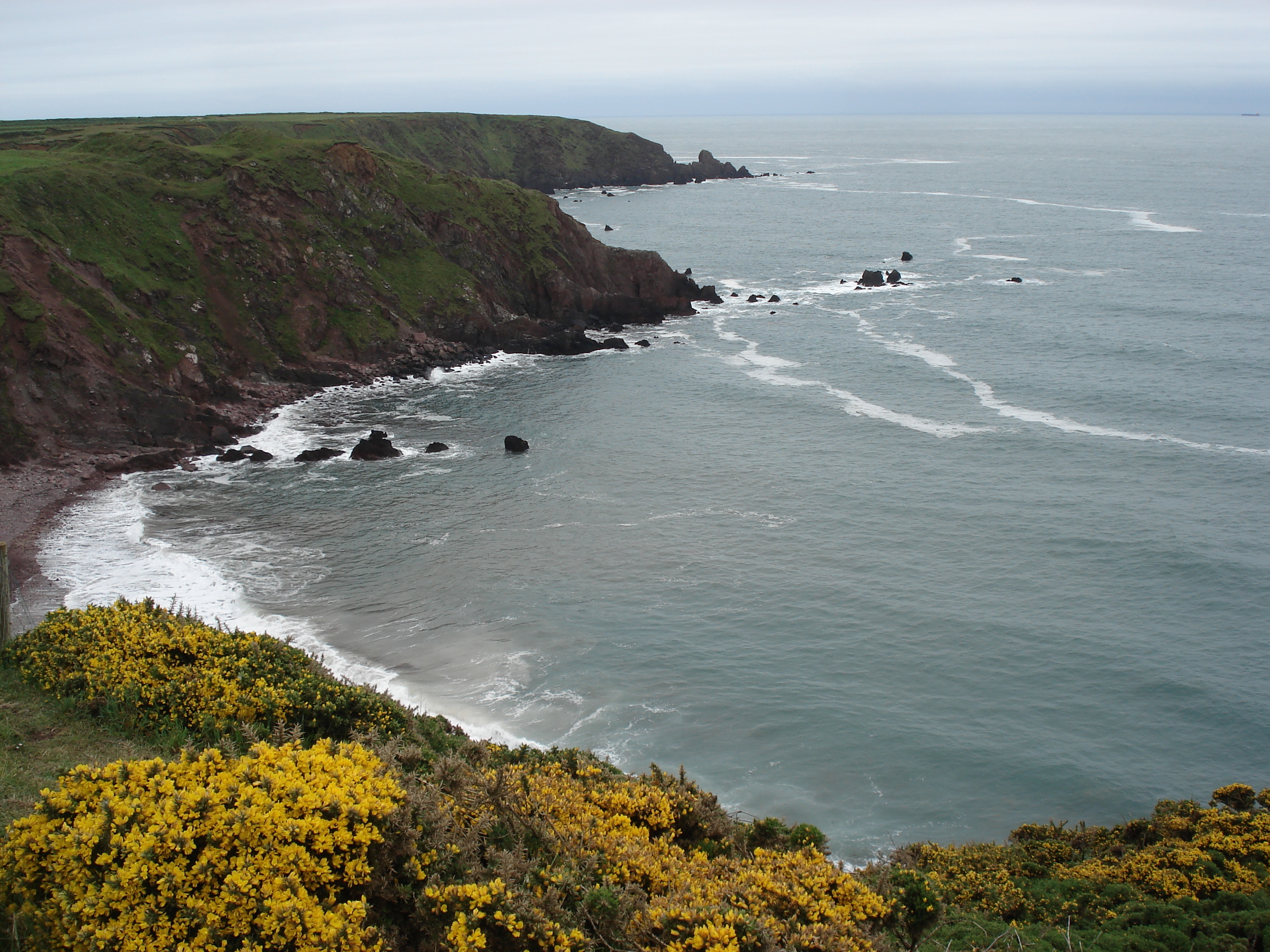 Picture United Kingdom Pembrokeshire St. Ann's Head 2006-05 6 - Tour St. Ann's Head