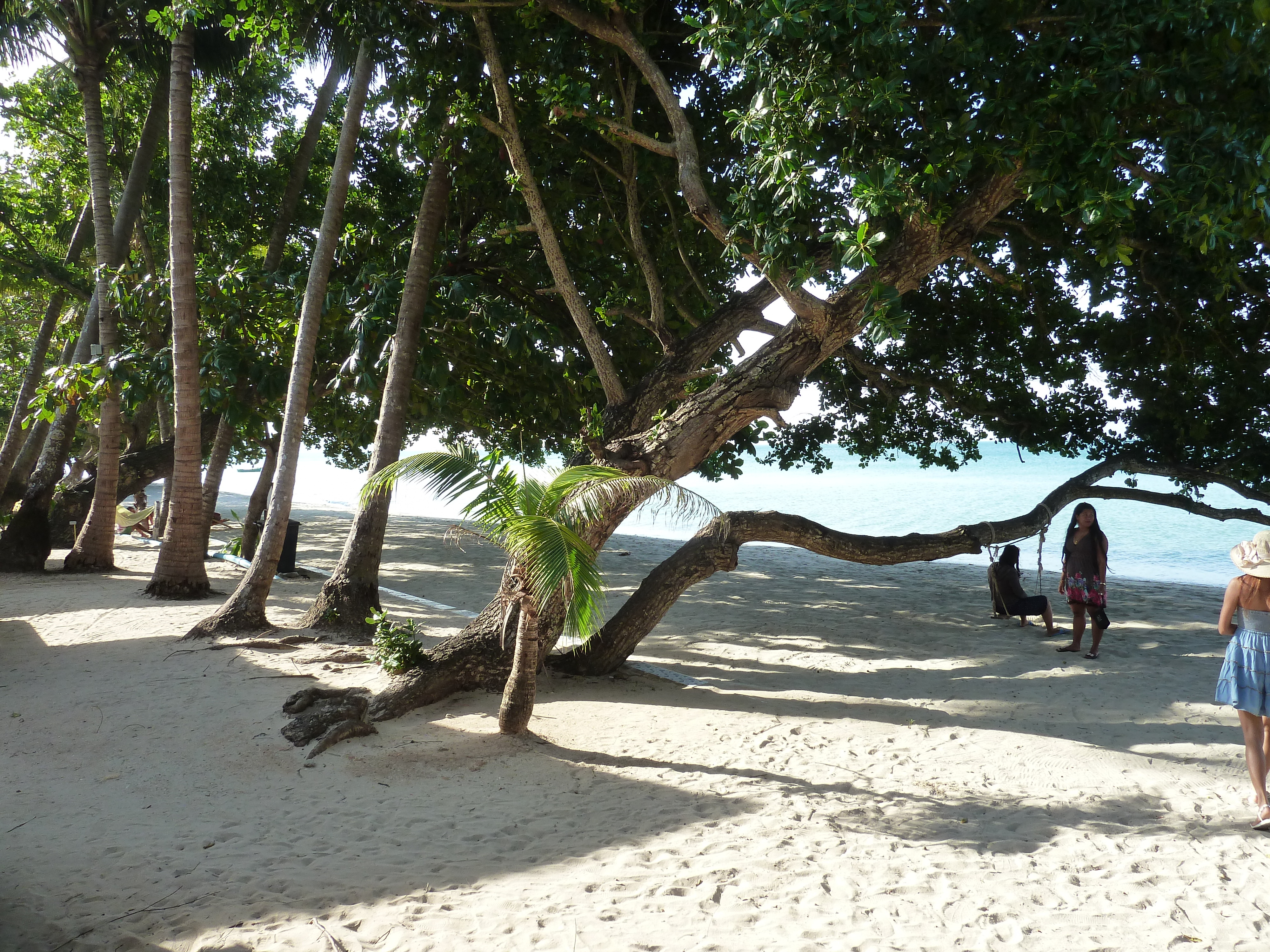 Picture Thailand Ko Chang 2011-12 52 - Around Ko Chang