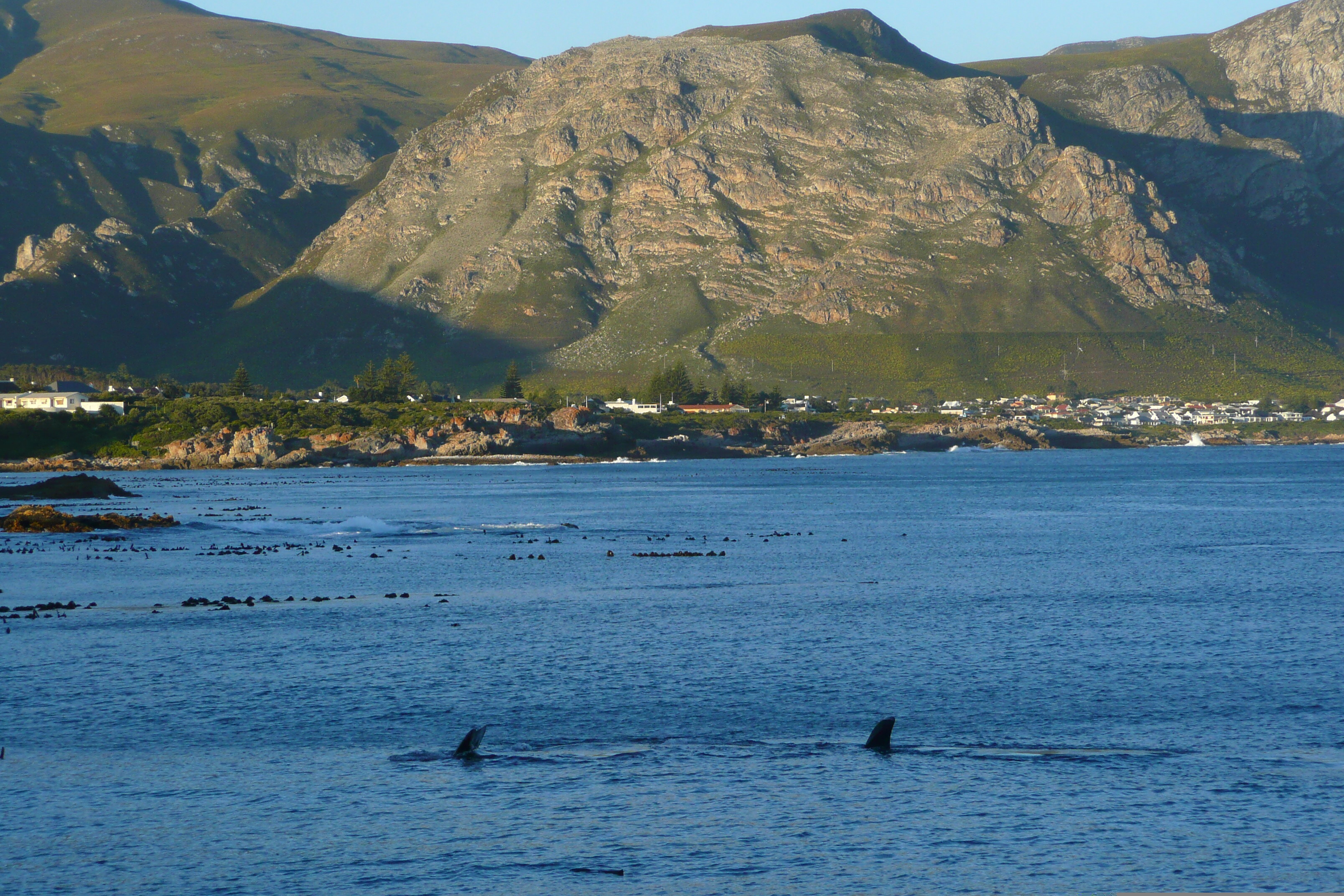 Picture South Africa Harmanus 2008-09 289 - History Harmanus