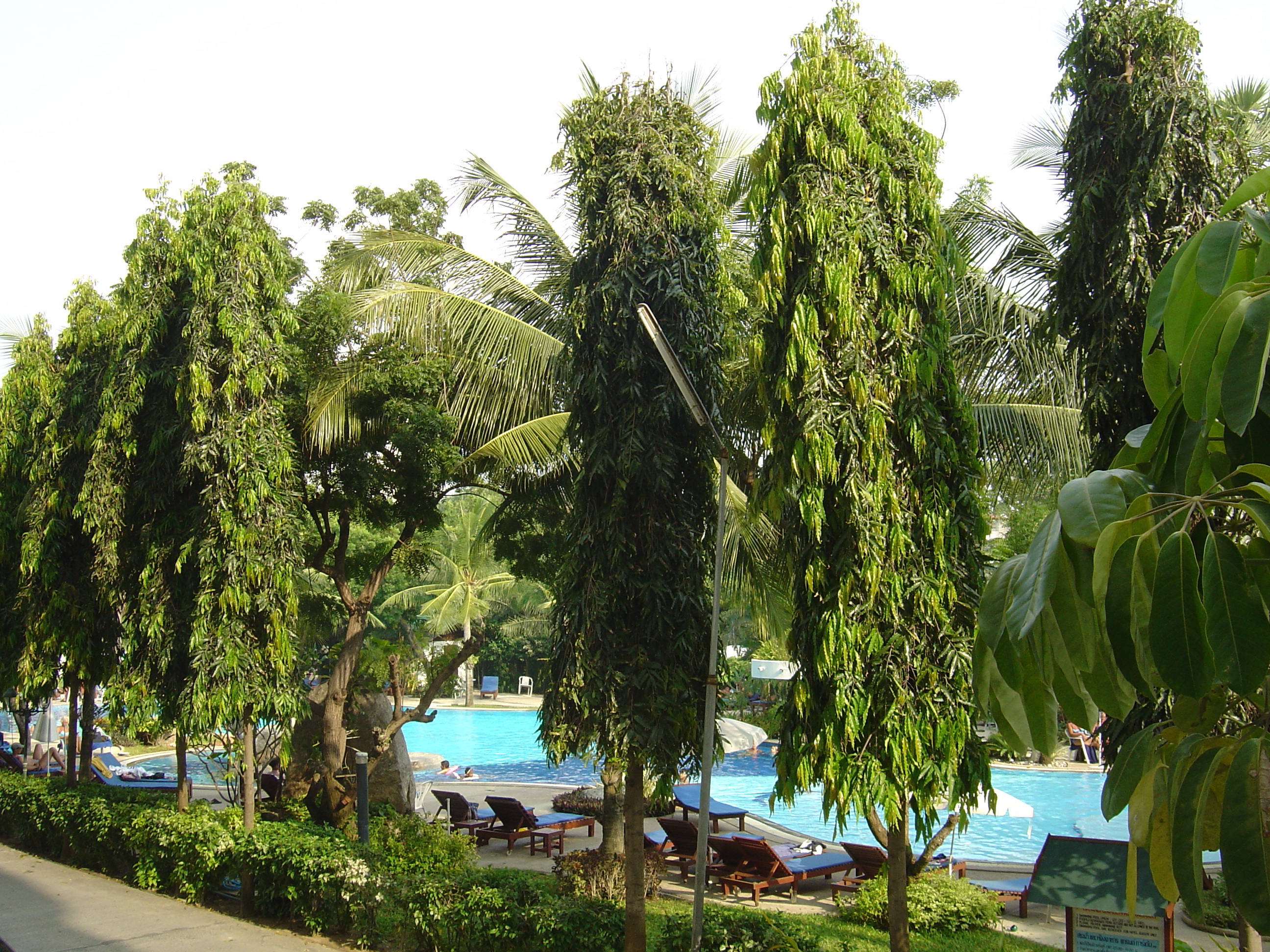 Picture Thailand Jomtien Beach Grand Jomtien Palace Hotel 2004-10 15 - Discovery Grand Jomtien Palace Hotel