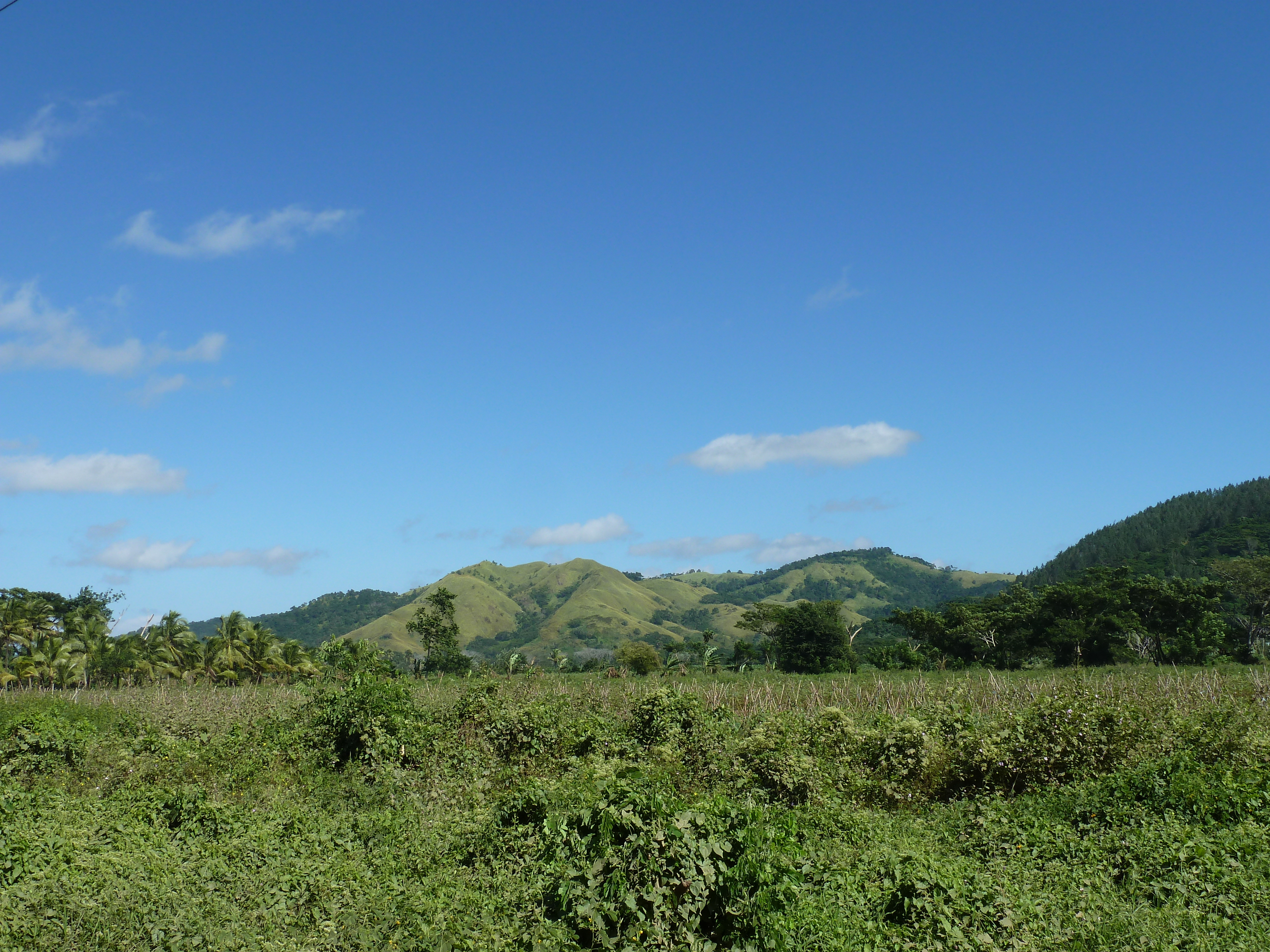 Picture Fiji Sigatoka river 2010-05 79 - Tour Sigatoka river