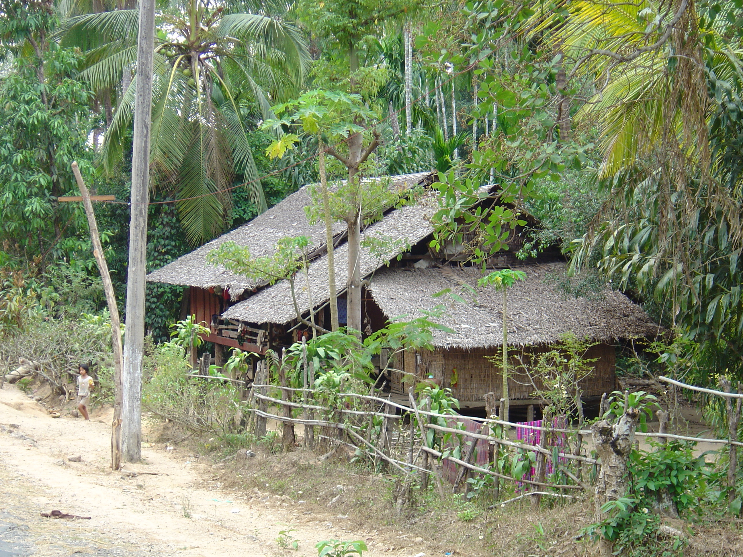 Picture Myanmar Road from Dawei to Maungmagan beach 2005-01 18 - Journey Road from Dawei to Maungmagan beach