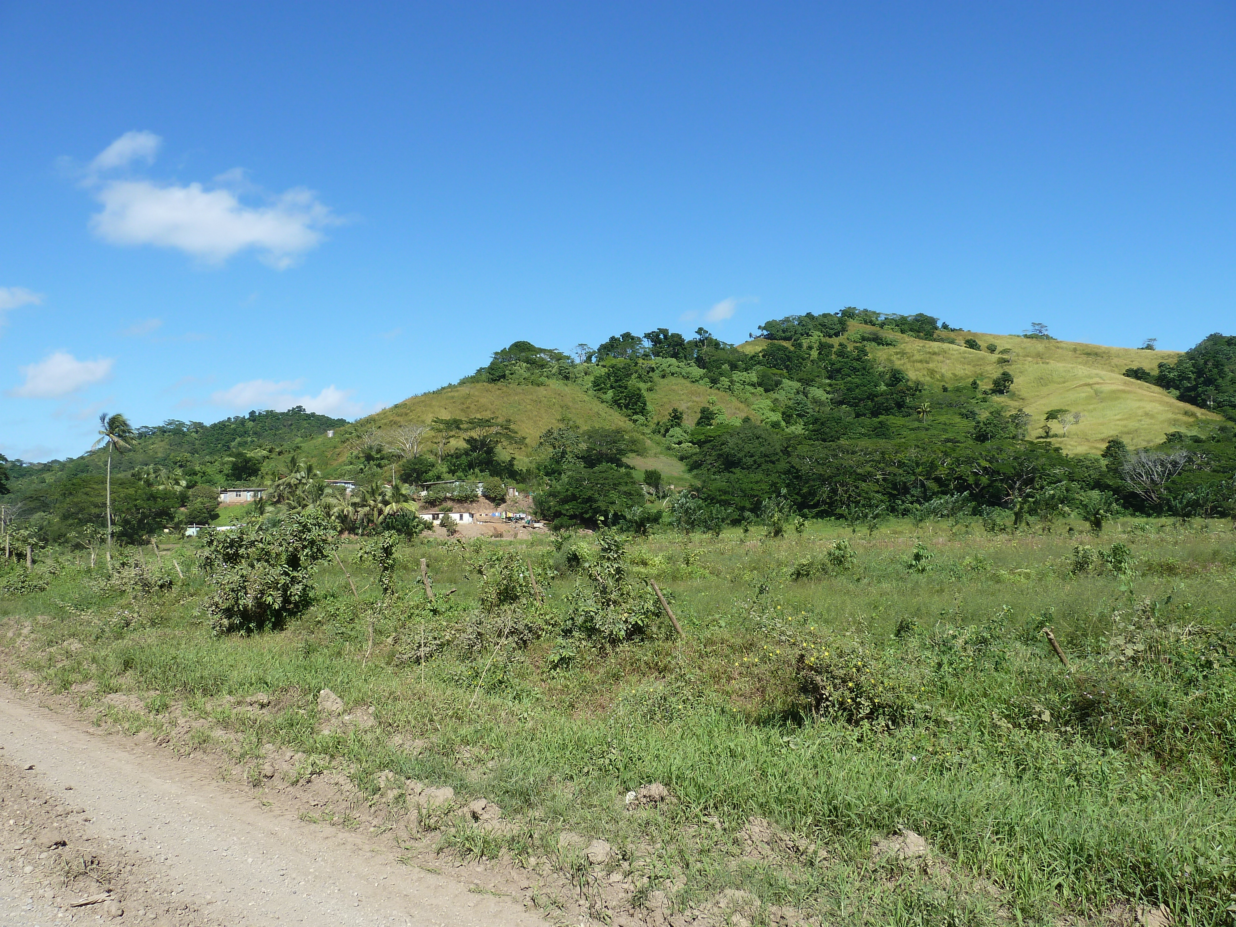 Picture Fiji Sigatoka river 2010-05 97 - Tours Sigatoka river