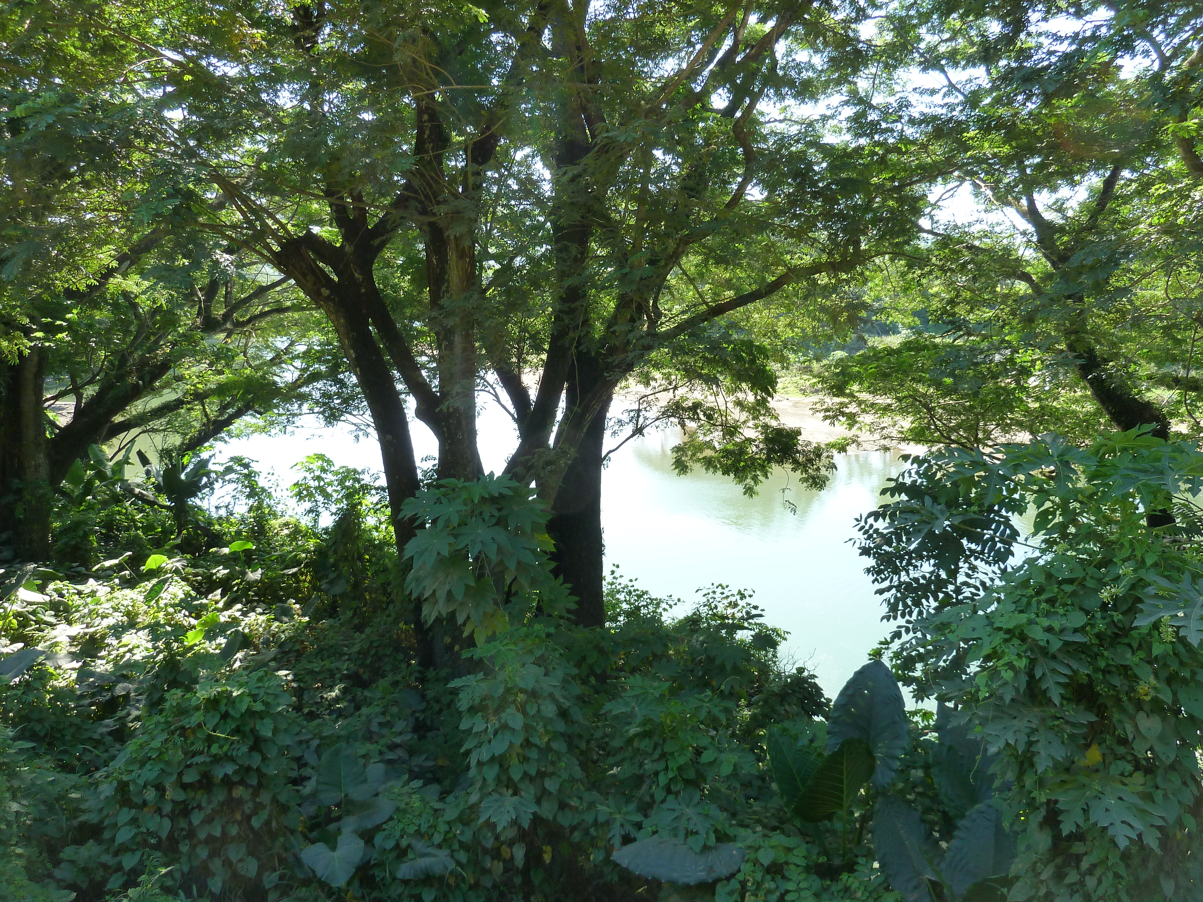 Picture Fiji Sigatoka river 2010-05 86 - Journey Sigatoka river