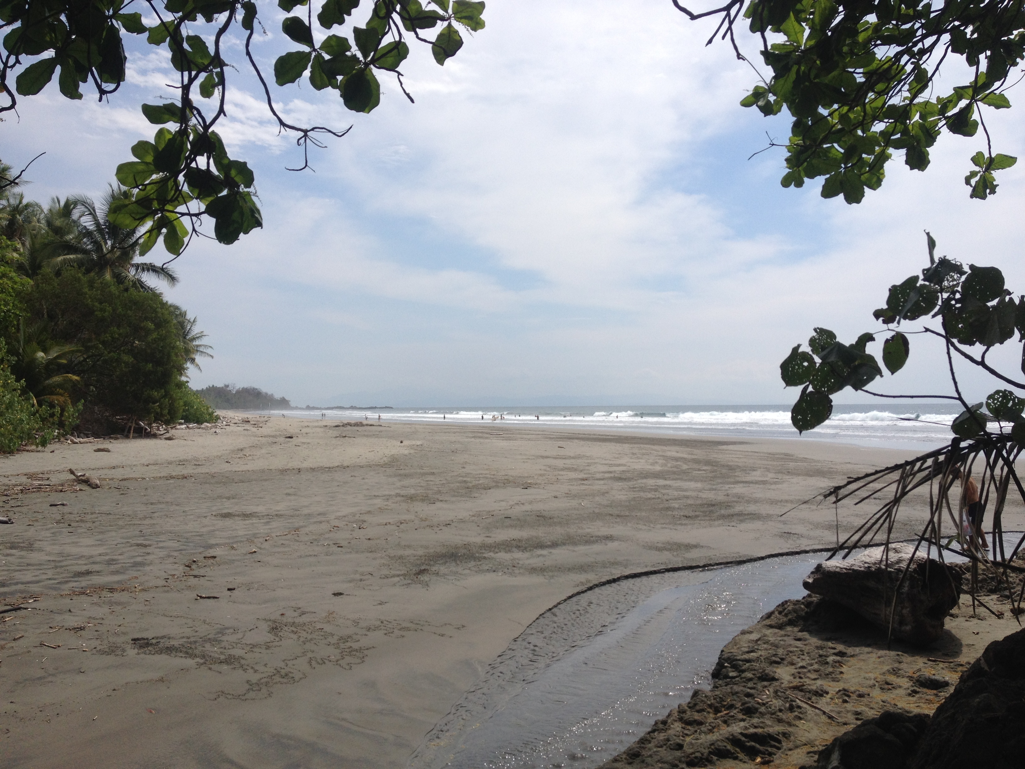 Picture Costa Rica Montezuma 2015-03 383 - Journey Montezuma