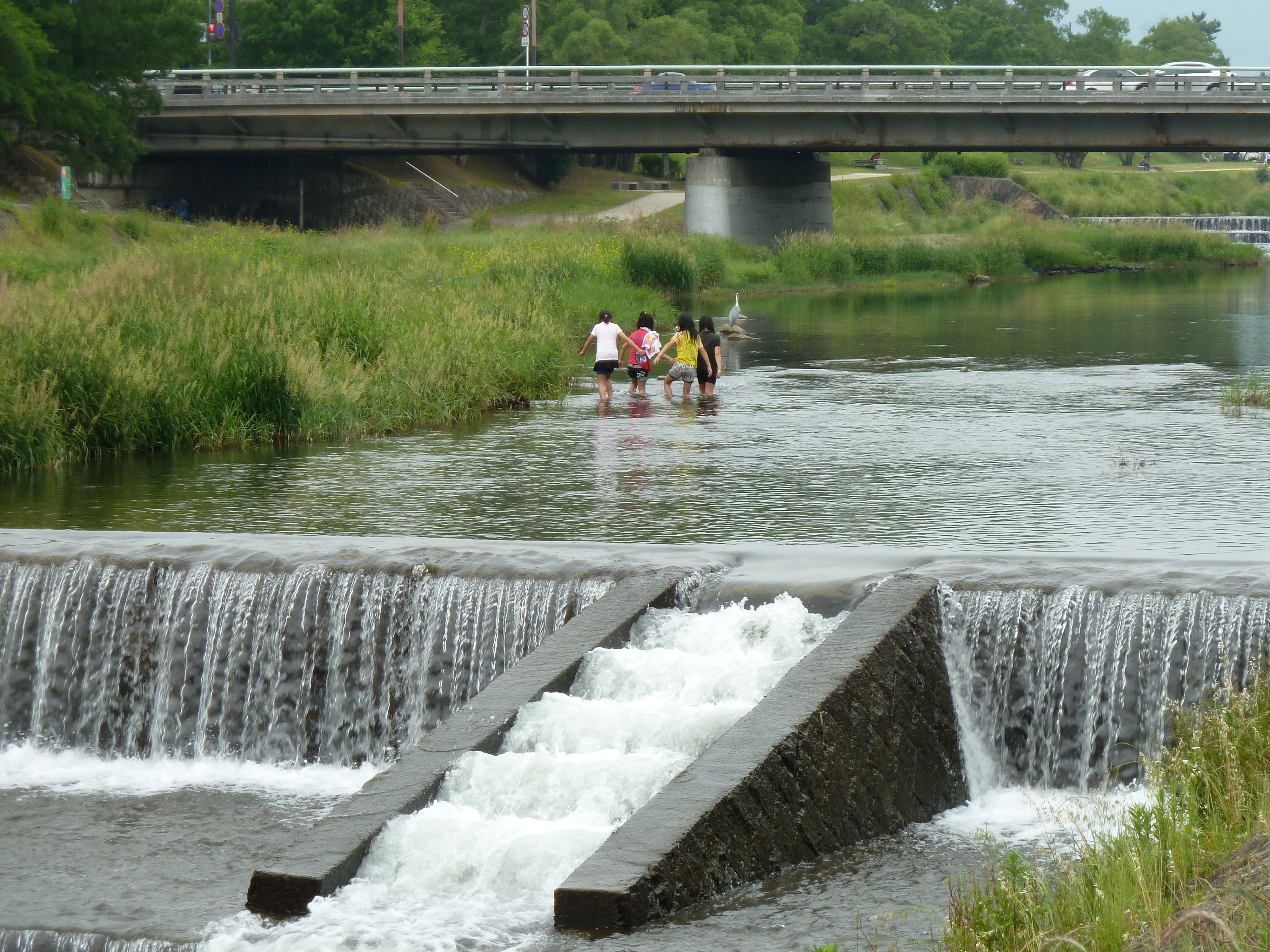 Picture Japan Kyoto Kamo River 2010-06 26 - Discovery Kamo River