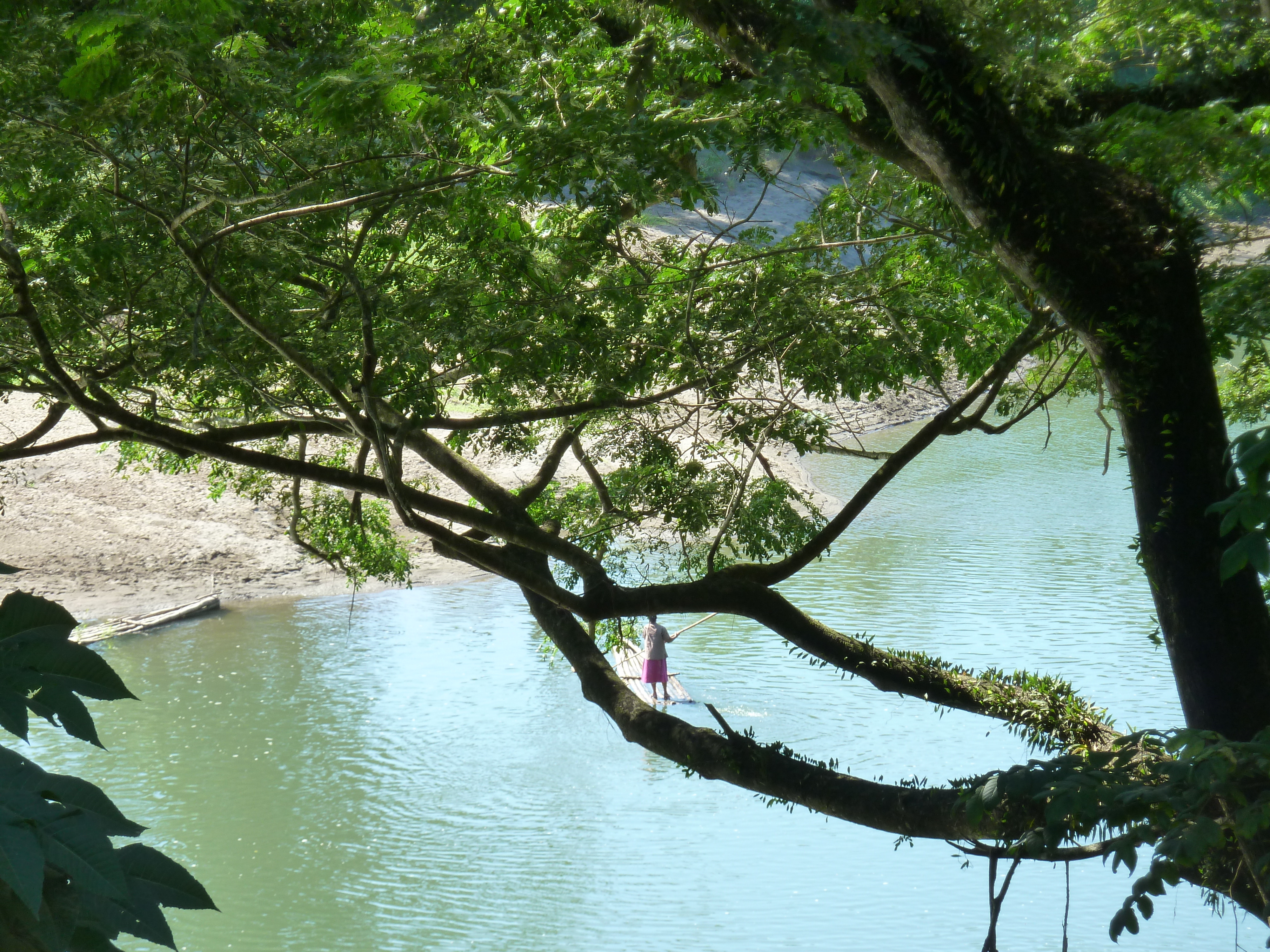 Picture Fiji Sigatoka river 2010-05 91 - Tour Sigatoka river