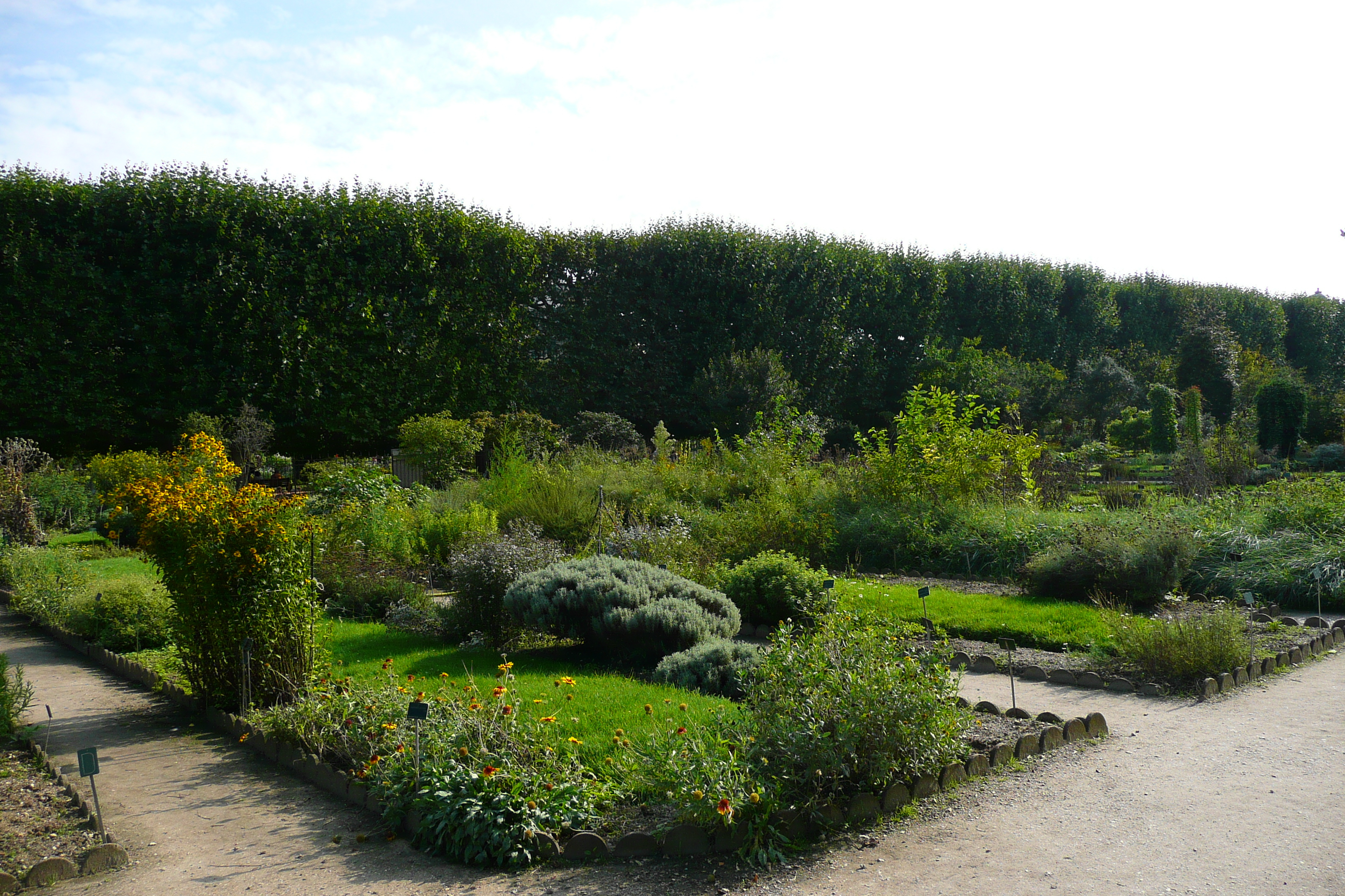 Picture France Paris Jardin des Plantes 2007-08 78 - Tour Jardin des Plantes