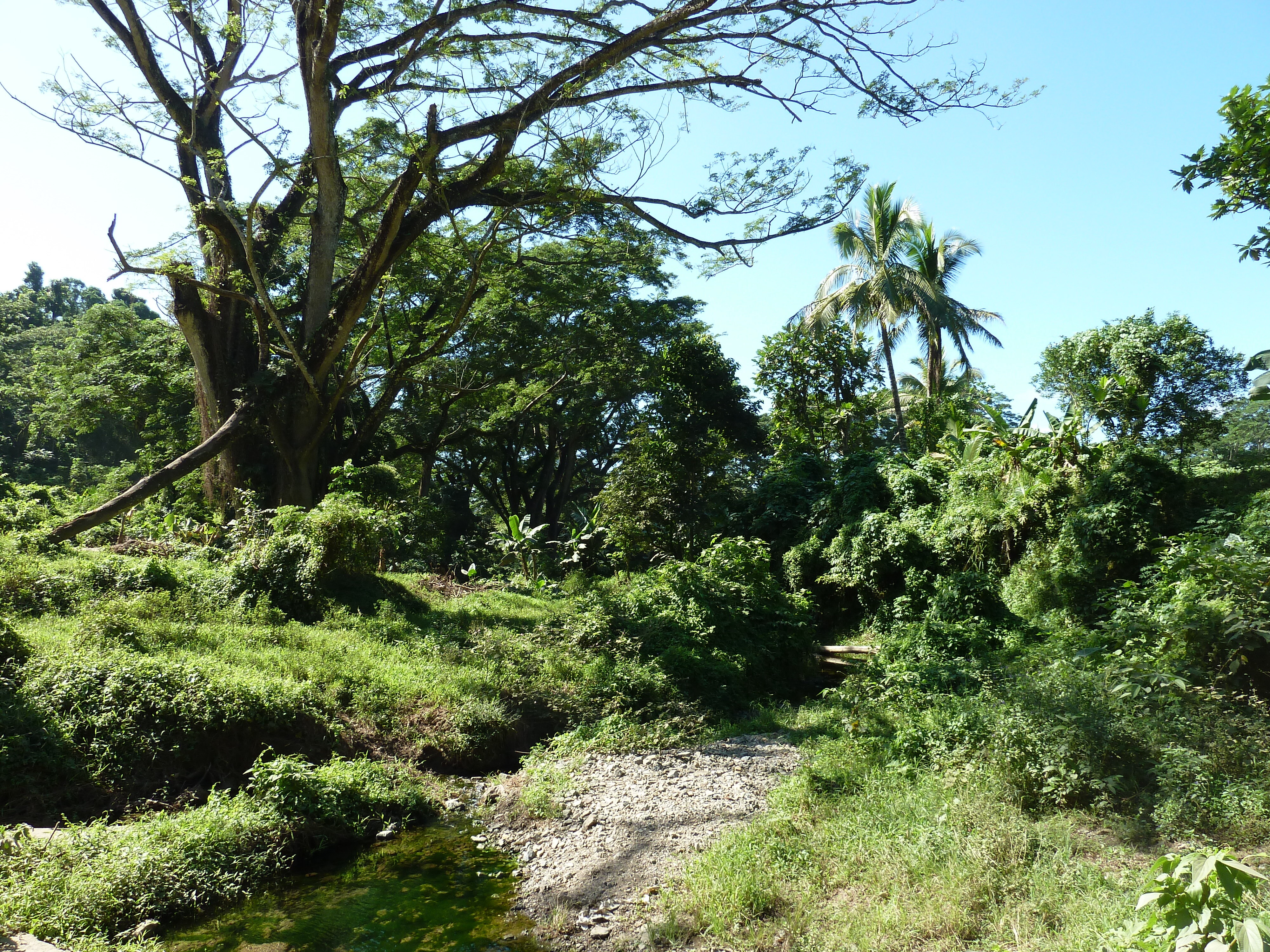 Picture Fiji Sigatoka river 2010-05 2 - Discovery Sigatoka river