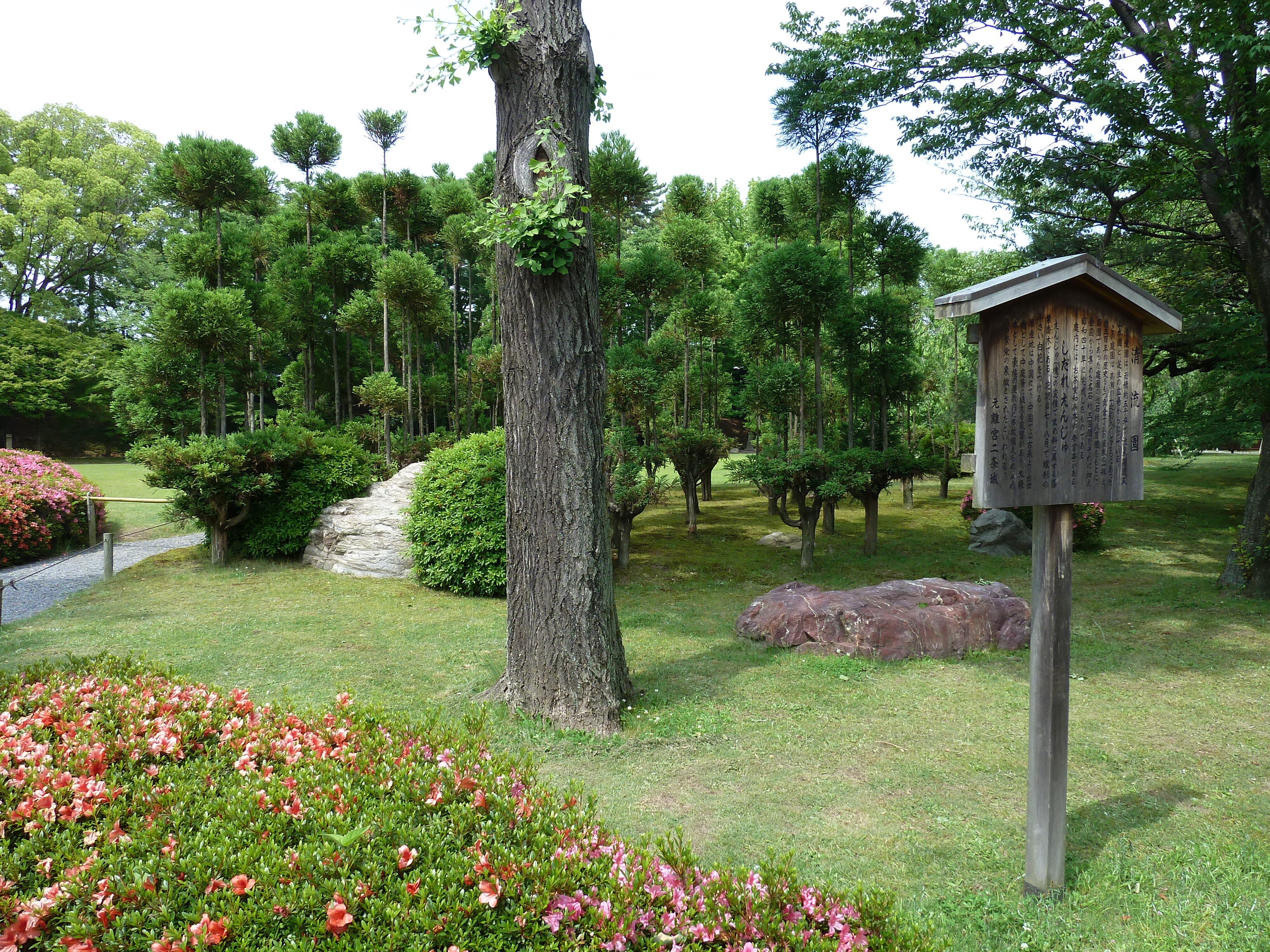 Picture Japan Kyoto Nijo Castle 2010-06 13 - Around Nijo Castle