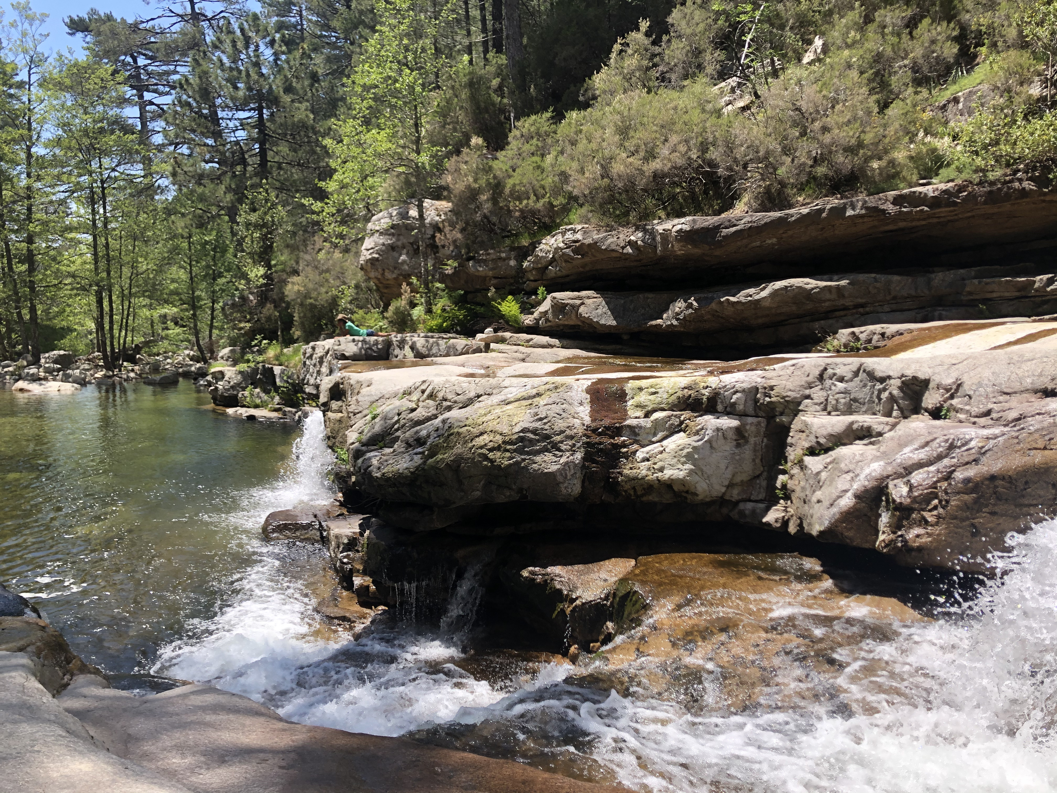 Picture France Corsica Aitone Forest 2021-06 40 - Around Aitone Forest