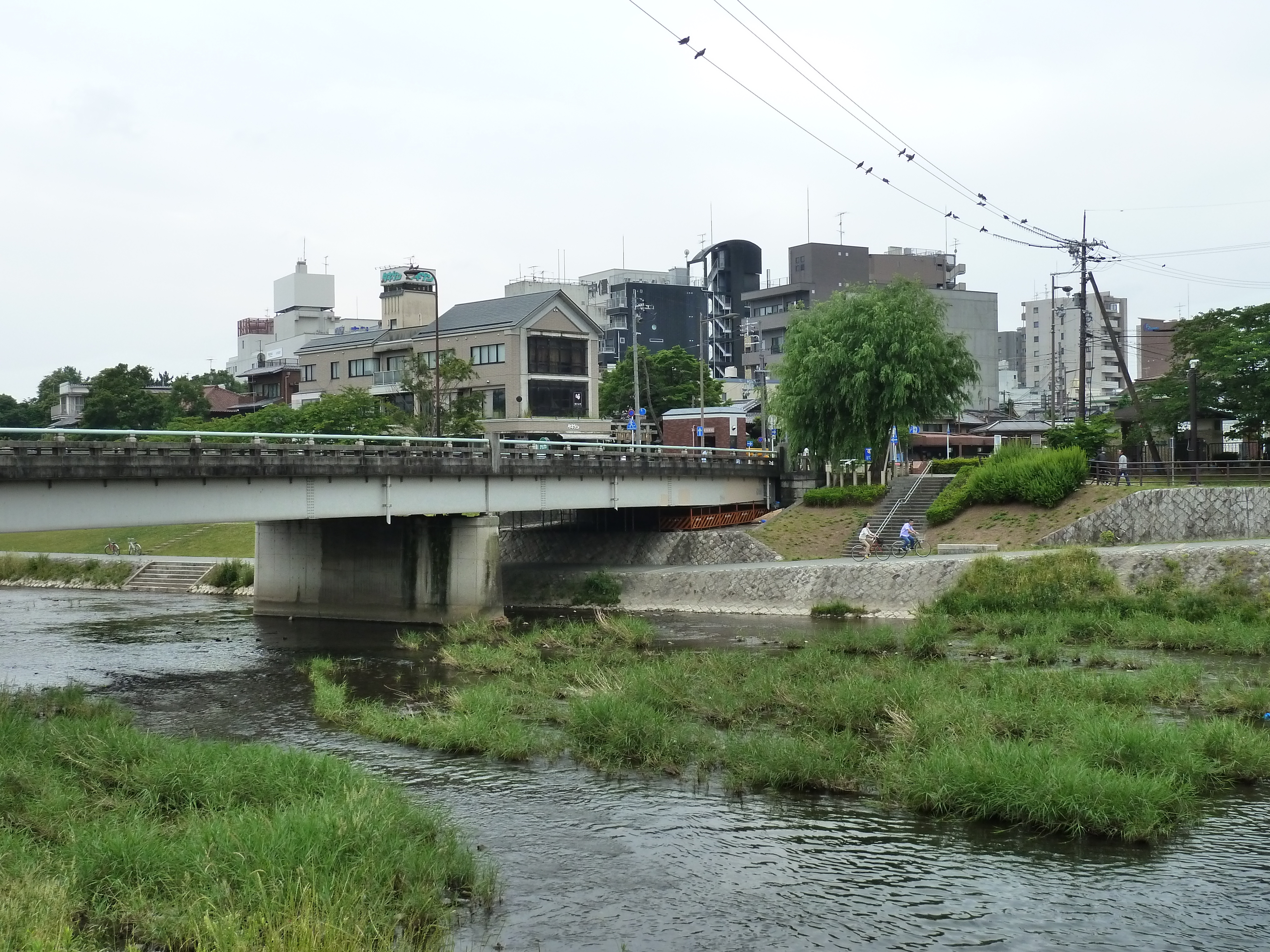 Picture Japan Kyoto Kamo River 2010-06 35 - Discovery Kamo River