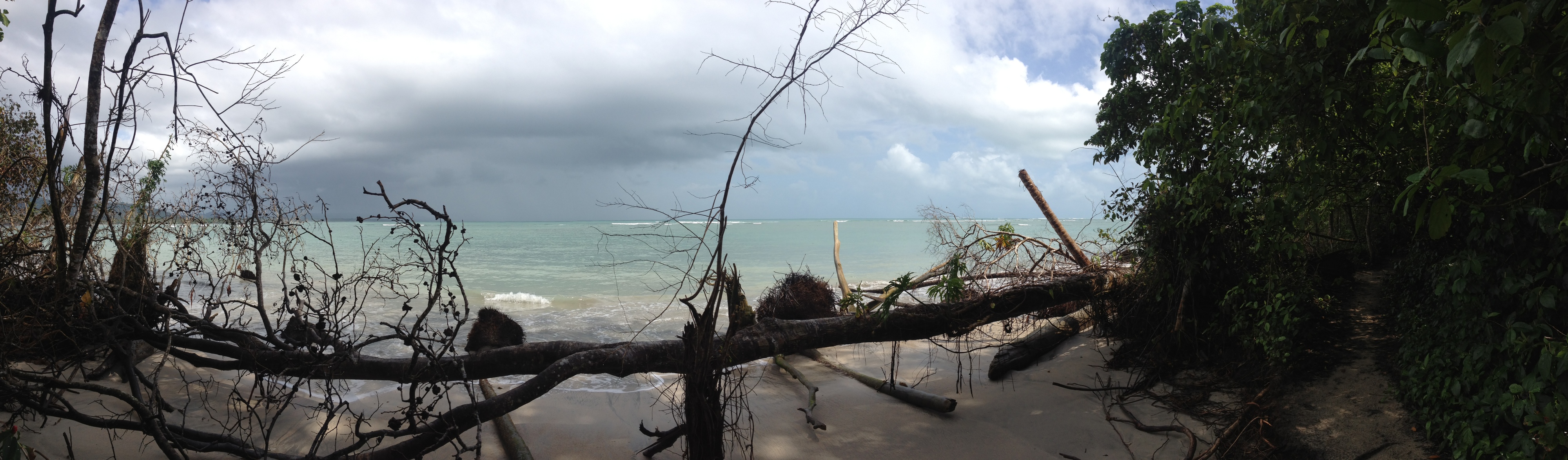 Picture Costa Rica Cahuita 2015-03 230 - Center Cahuita