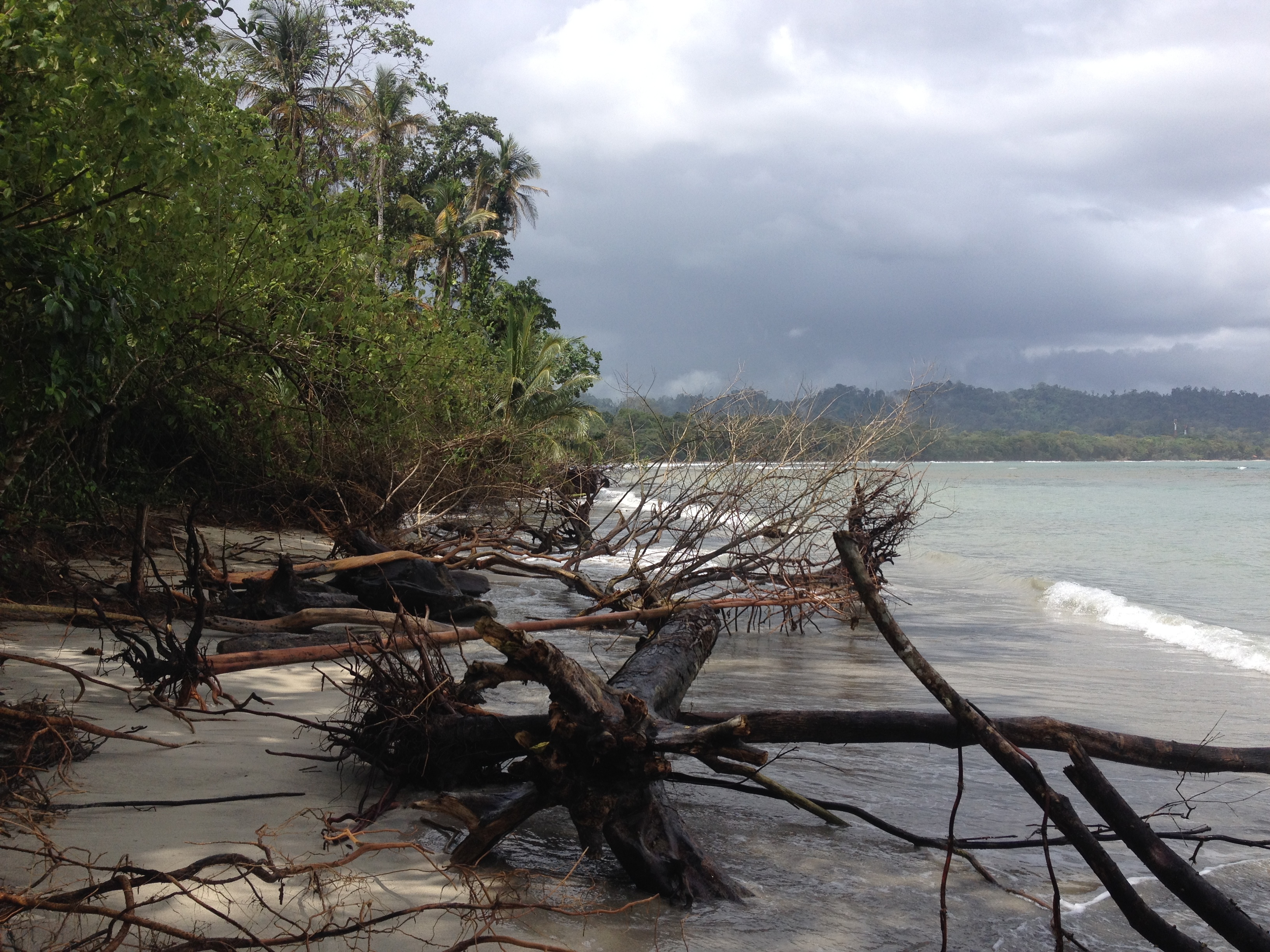 Picture Costa Rica Cahuita 2015-03 243 - Tour Cahuita