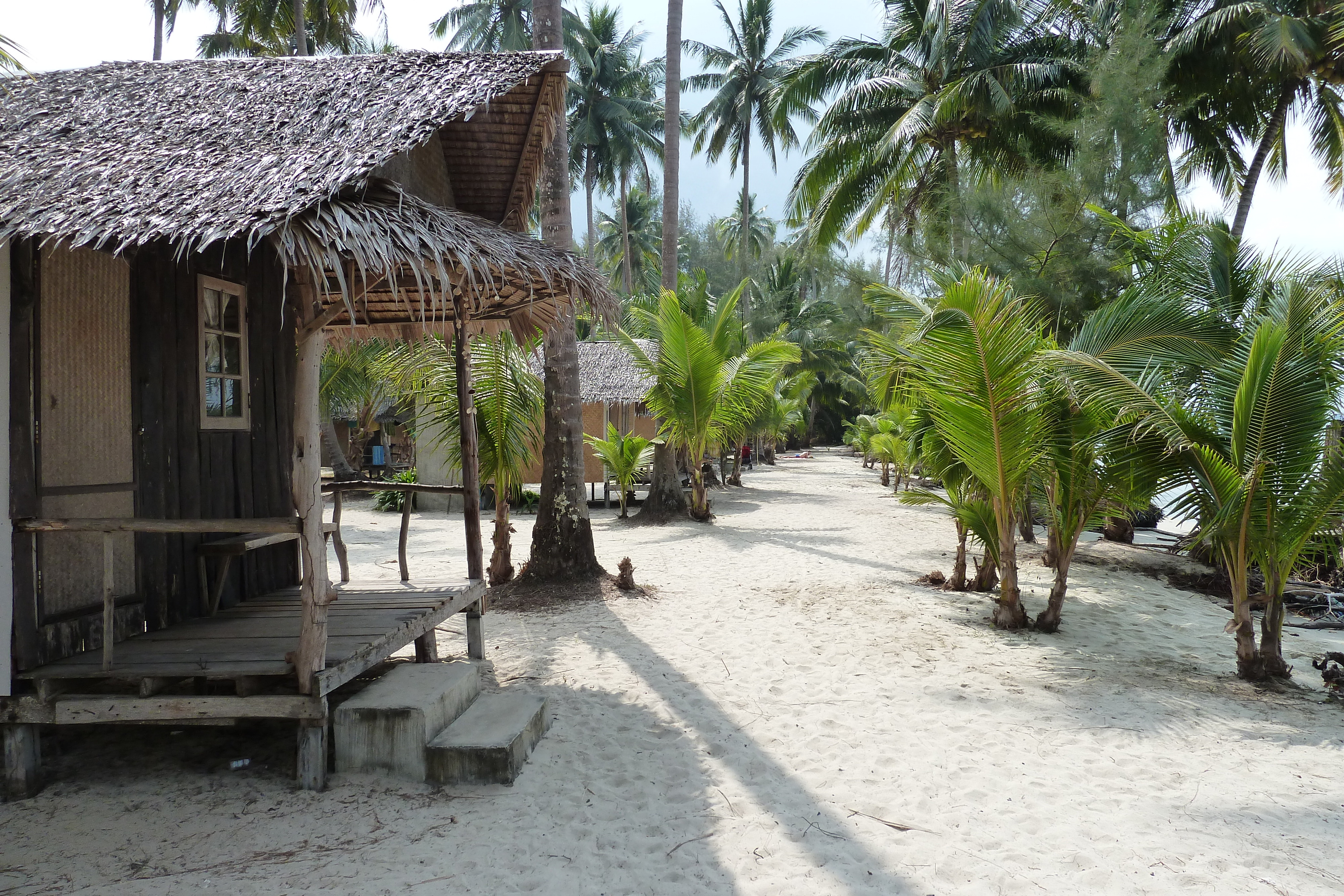 Picture Thailand Ko Chang Klong Prao beach 2011-02 12 - Around Klong Prao beach