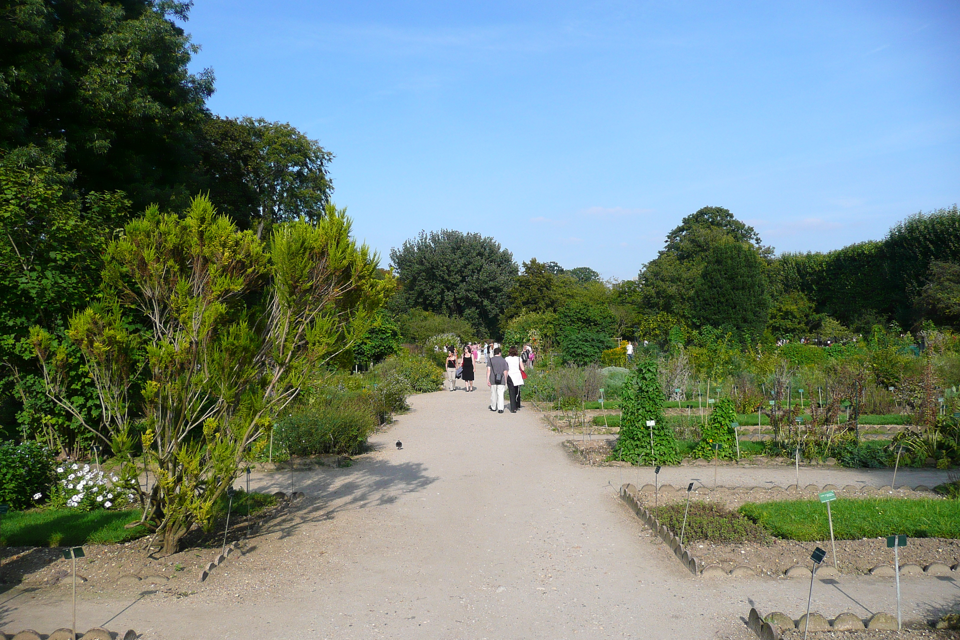 Picture France Paris Jardin des Plantes 2007-08 114 - Journey Jardin des Plantes