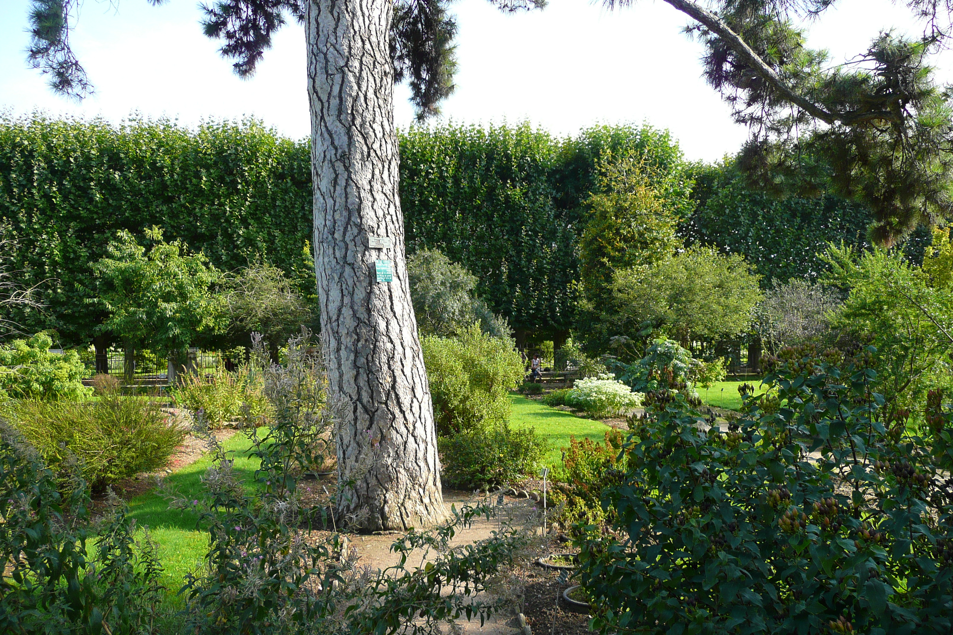 Picture France Paris Jardin des Plantes 2007-08 108 - Center Jardin des Plantes