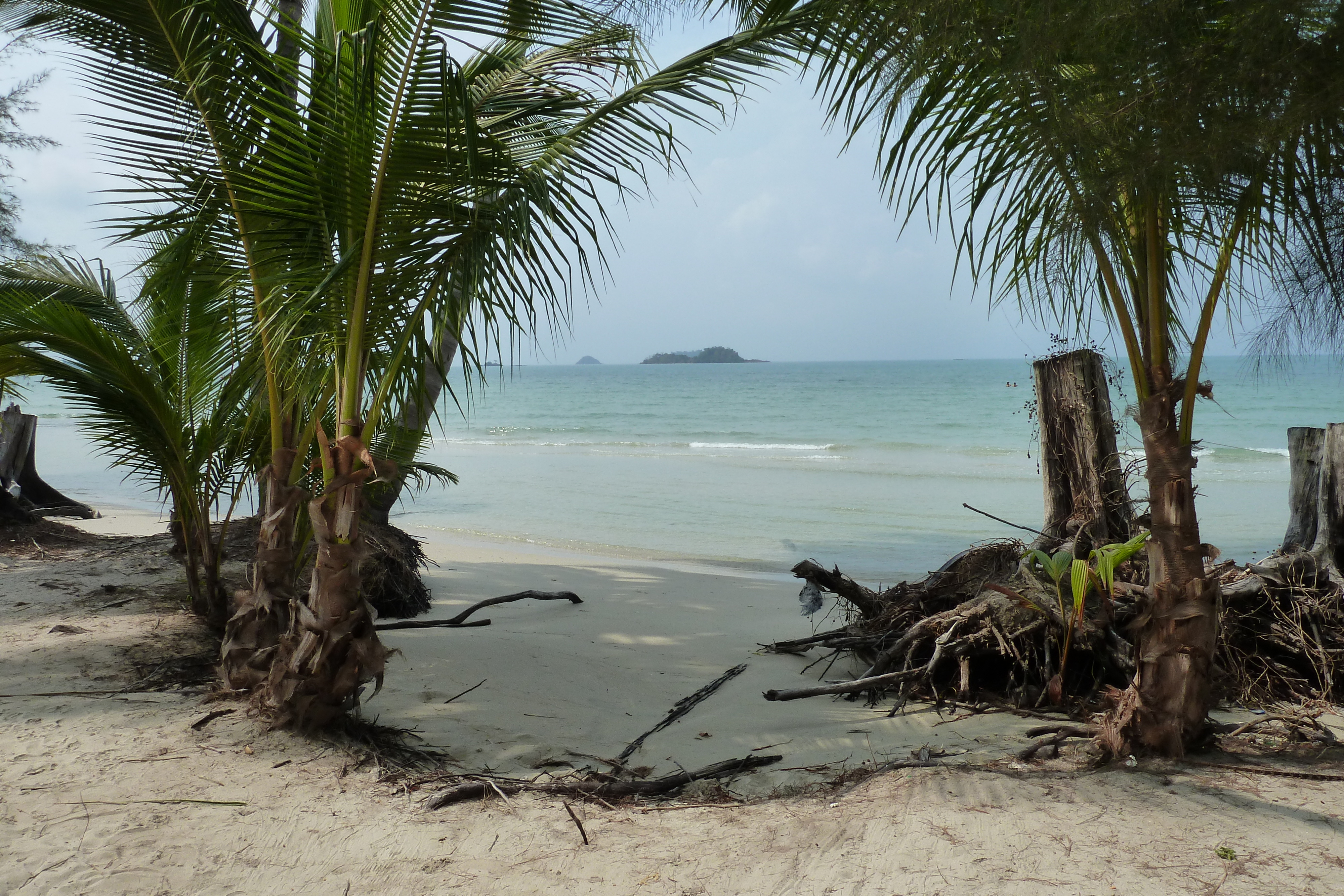 Picture Thailand Ko Chang Klong Prao beach 2011-02 86 - Discovery Klong Prao beach