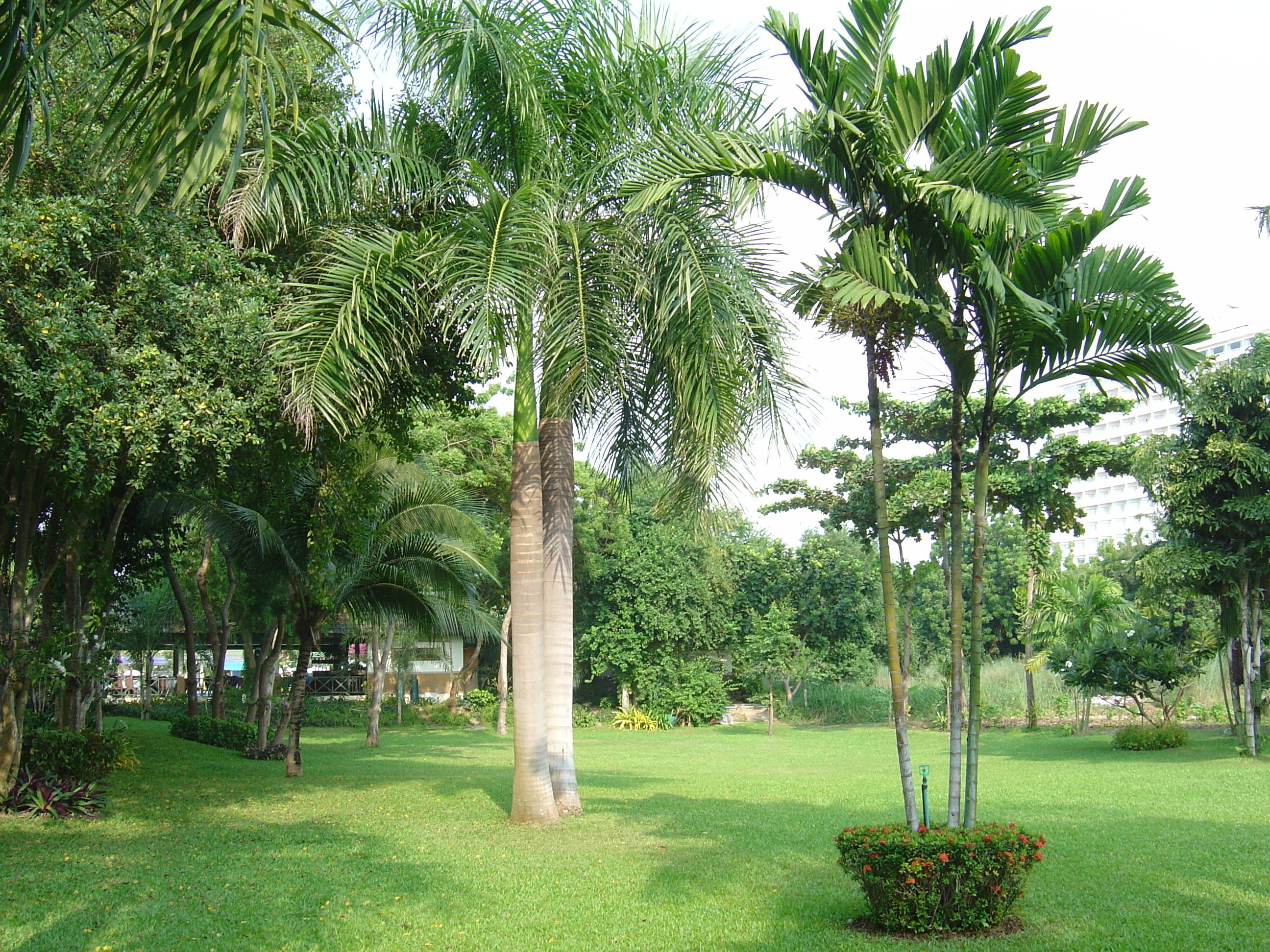 Picture Thailand Jomtien Beach Grand Jomtien Palace Hotel 2004-10 25 - Tours Grand Jomtien Palace Hotel