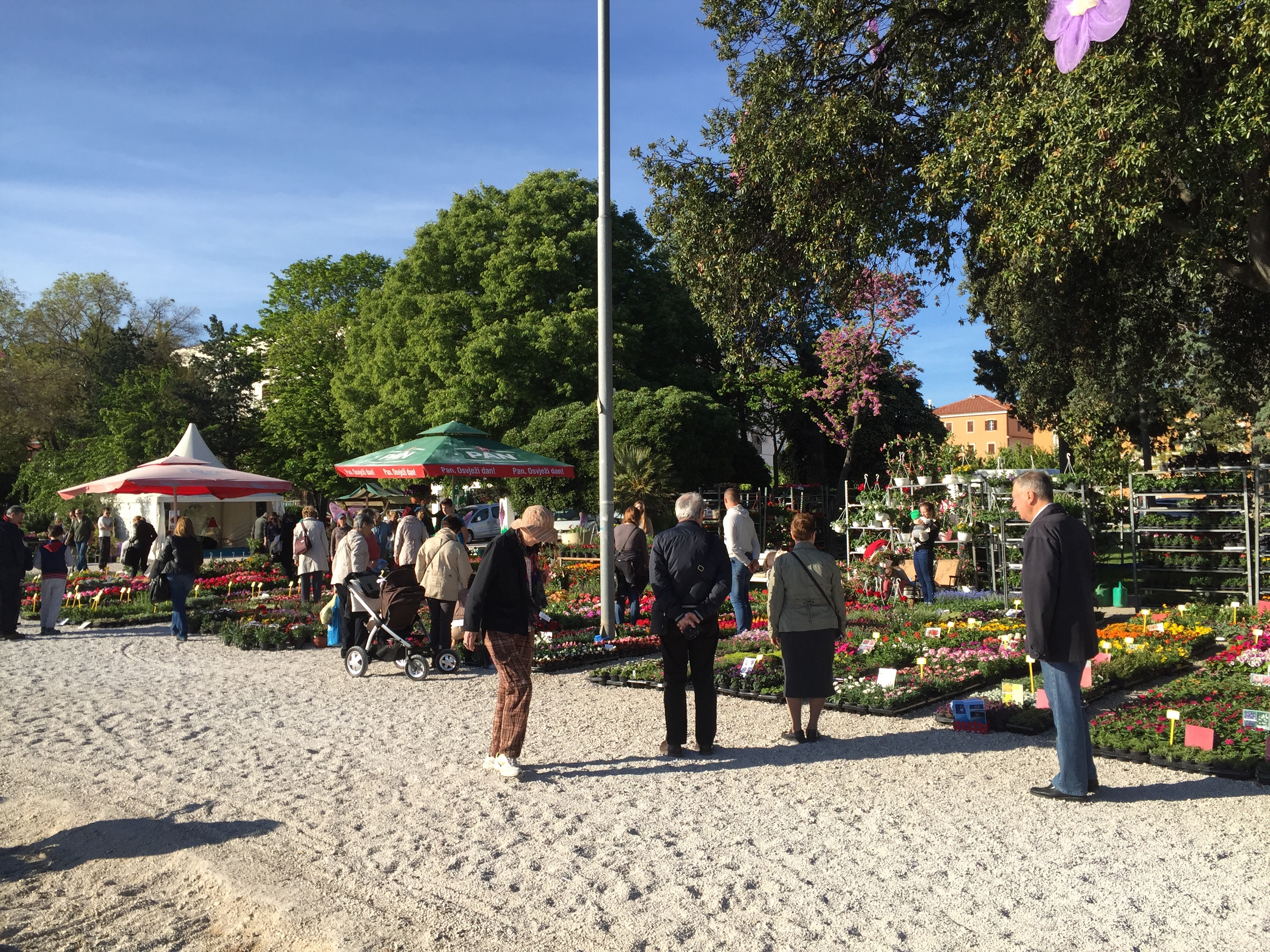 Picture Croatia Zadar 2016-04 8 - Around Zadar