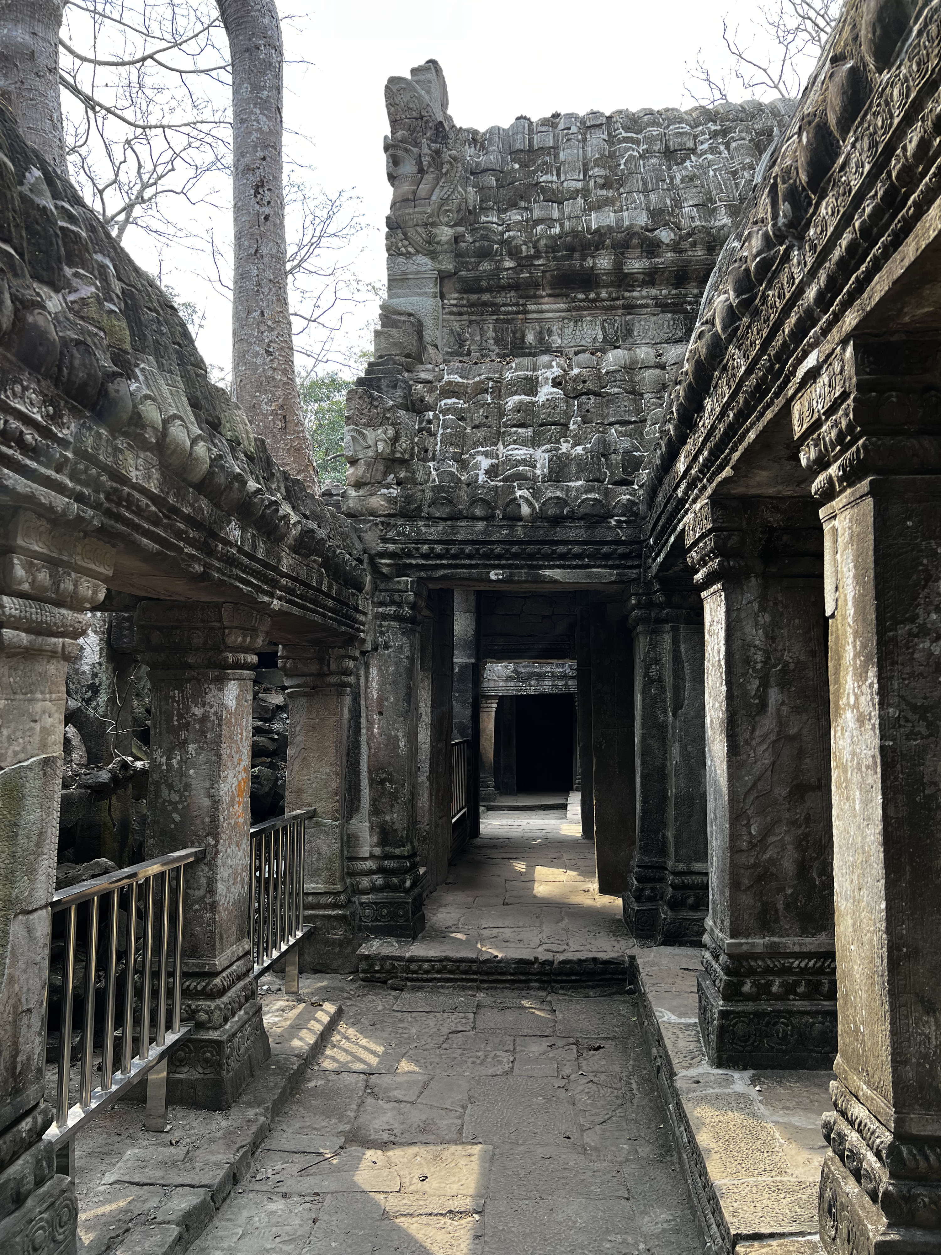 Picture Cambodia Siem Reap Ta Prohm 2023-01 136 - Around Ta Prohm