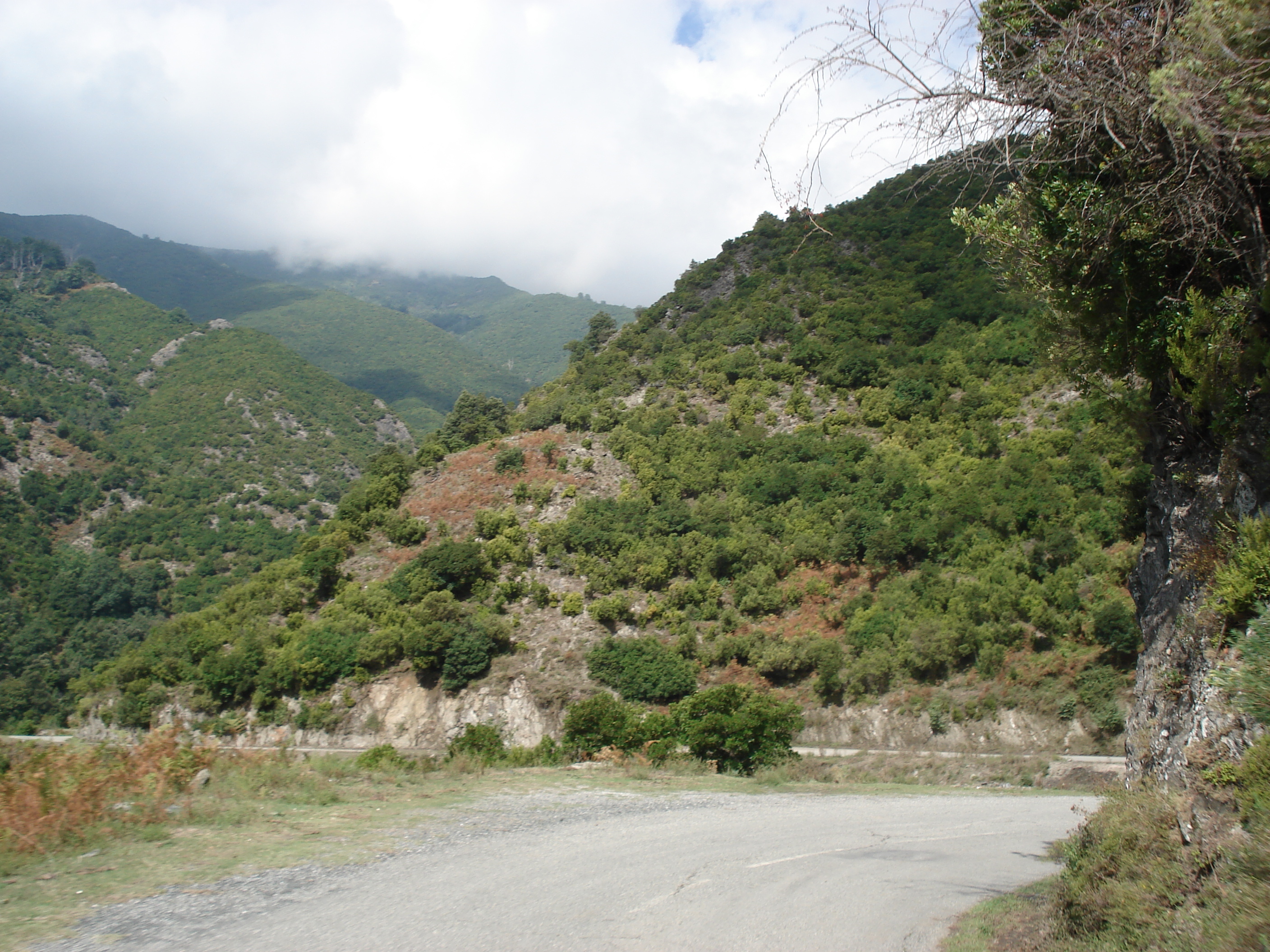 Picture France Corsica Valle d'alesani 2006-09 75 - Tour Valle d'alesani