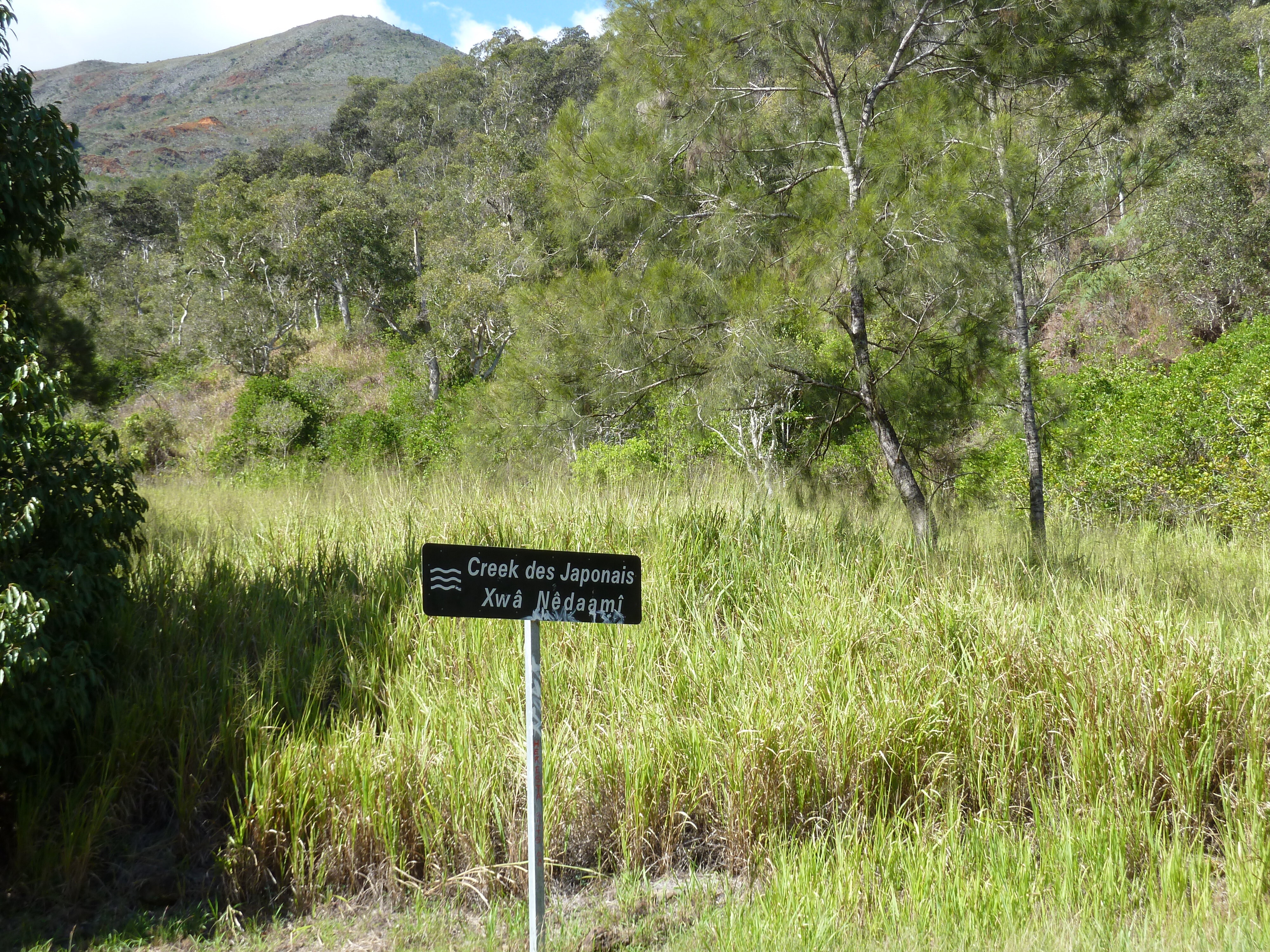 Picture New Caledonia Tontouta to Thio road 2010-05 111 - Around Tontouta to Thio road