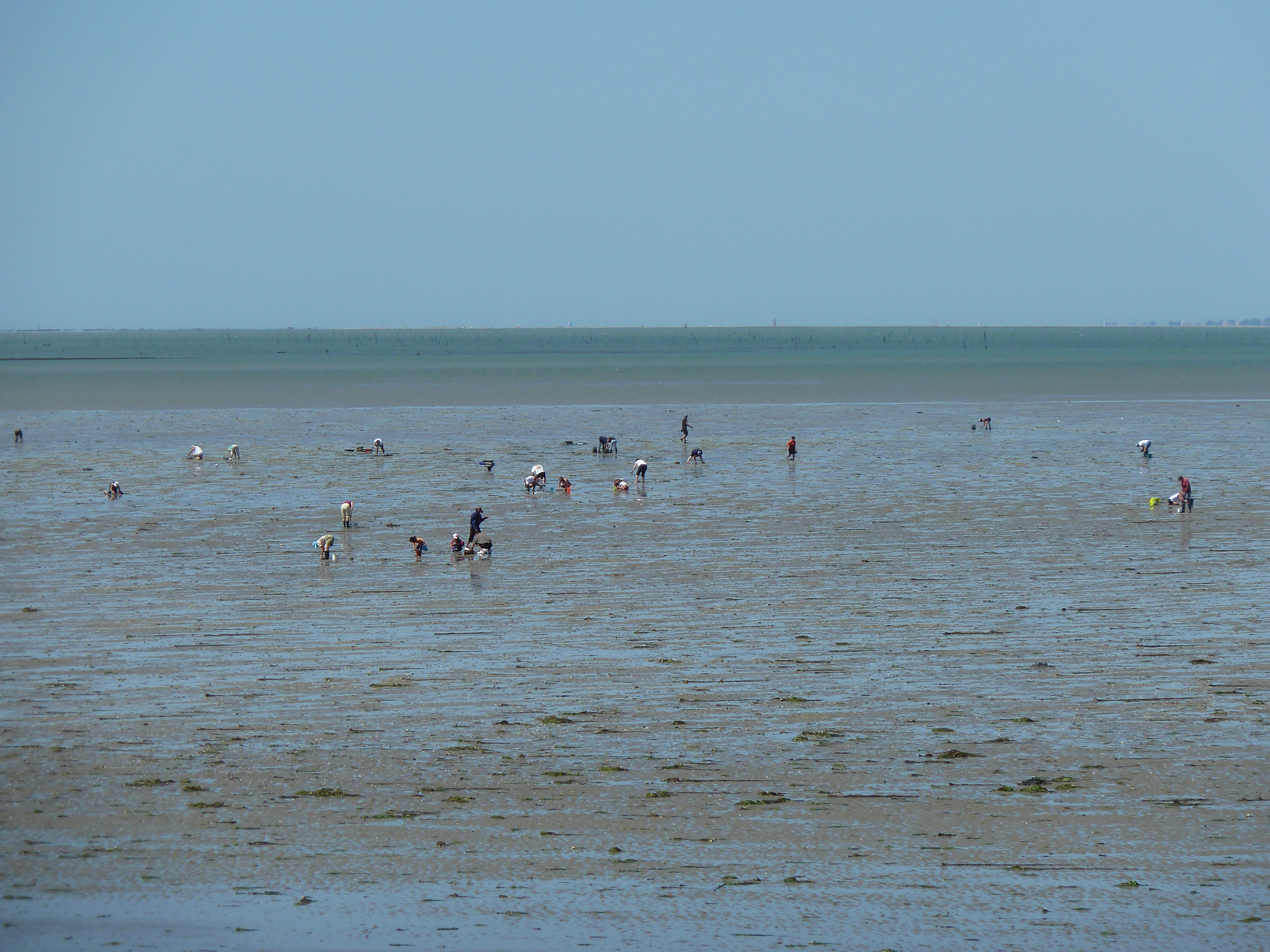 Picture France Noirmoutier 2010-07 32 - Around Noirmoutier