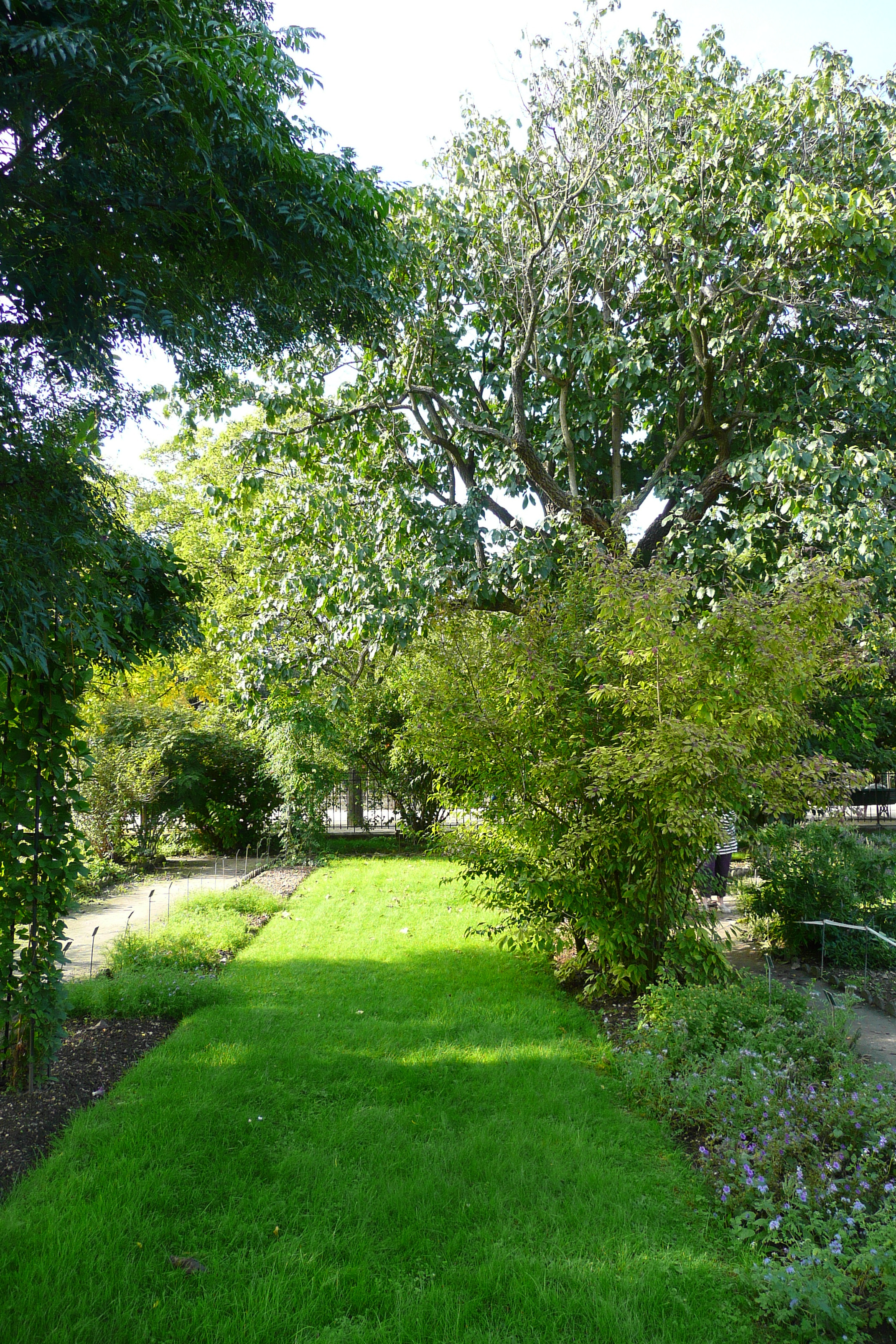 Picture France Paris Jardin des Plantes 2007-08 139 - Around Jardin des Plantes