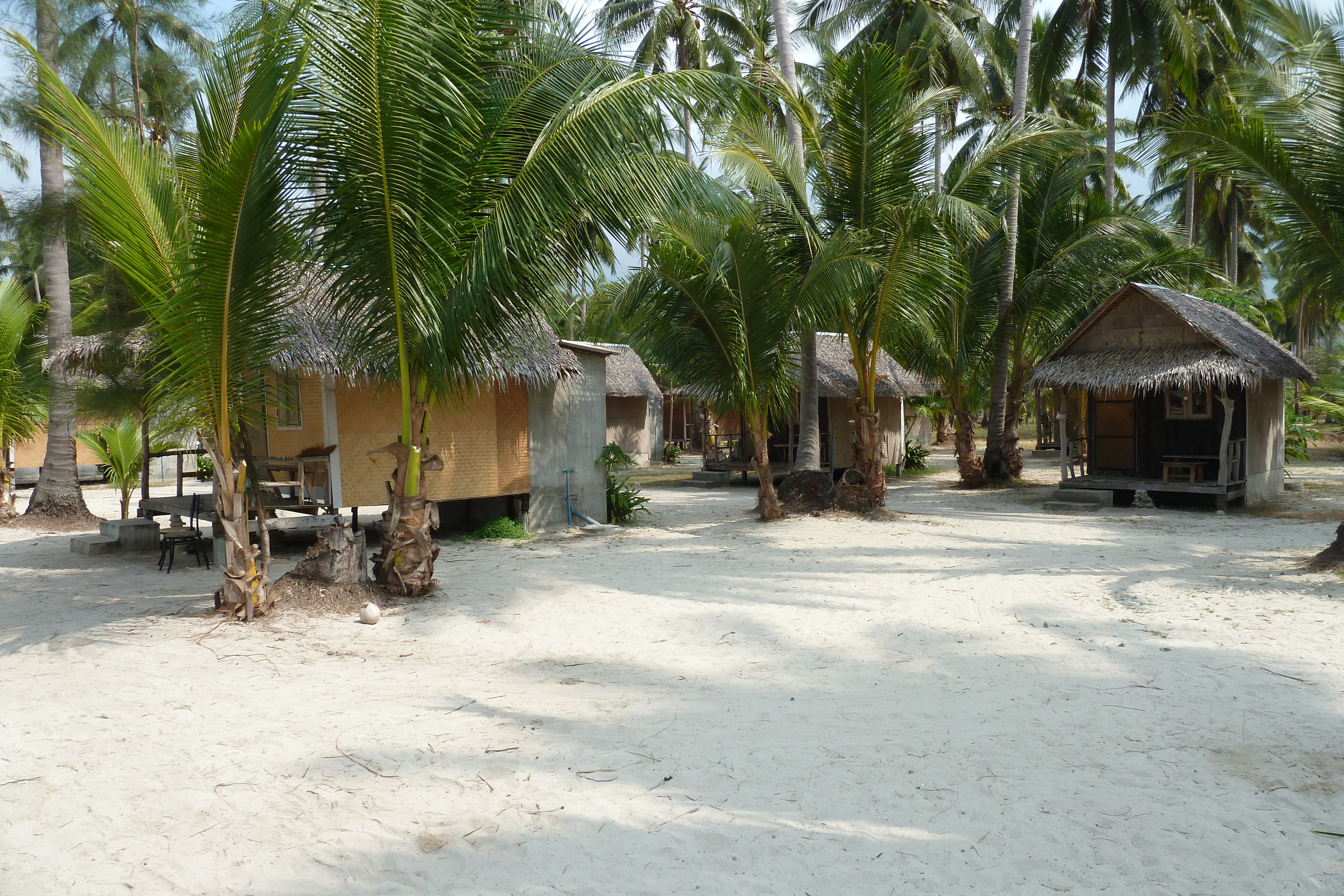 Picture Thailand Ko Chang Klong Prao beach 2011-02 72 - Tour Klong Prao beach