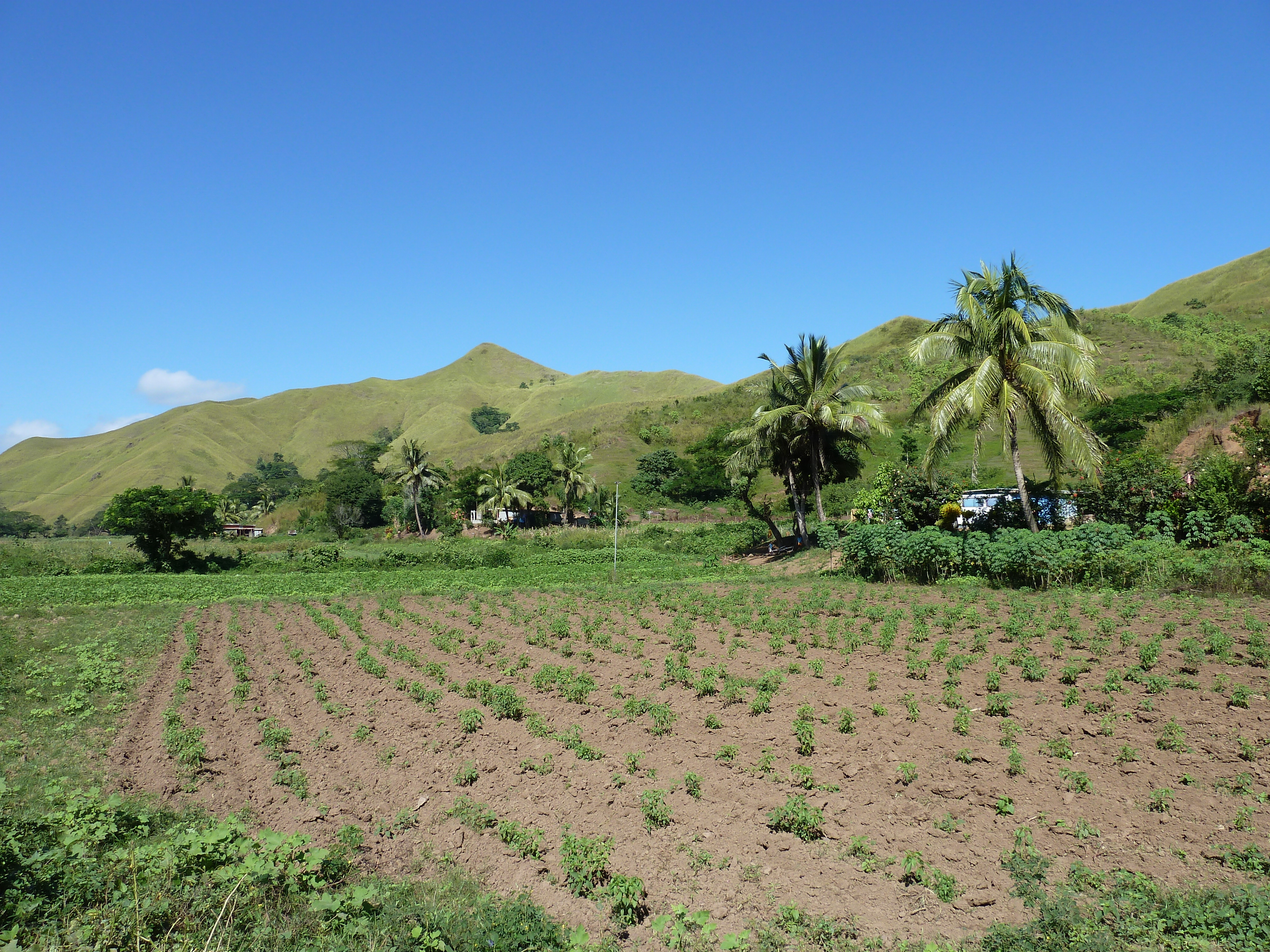 Picture Fiji Sigatoka river 2010-05 34 - Tour Sigatoka river