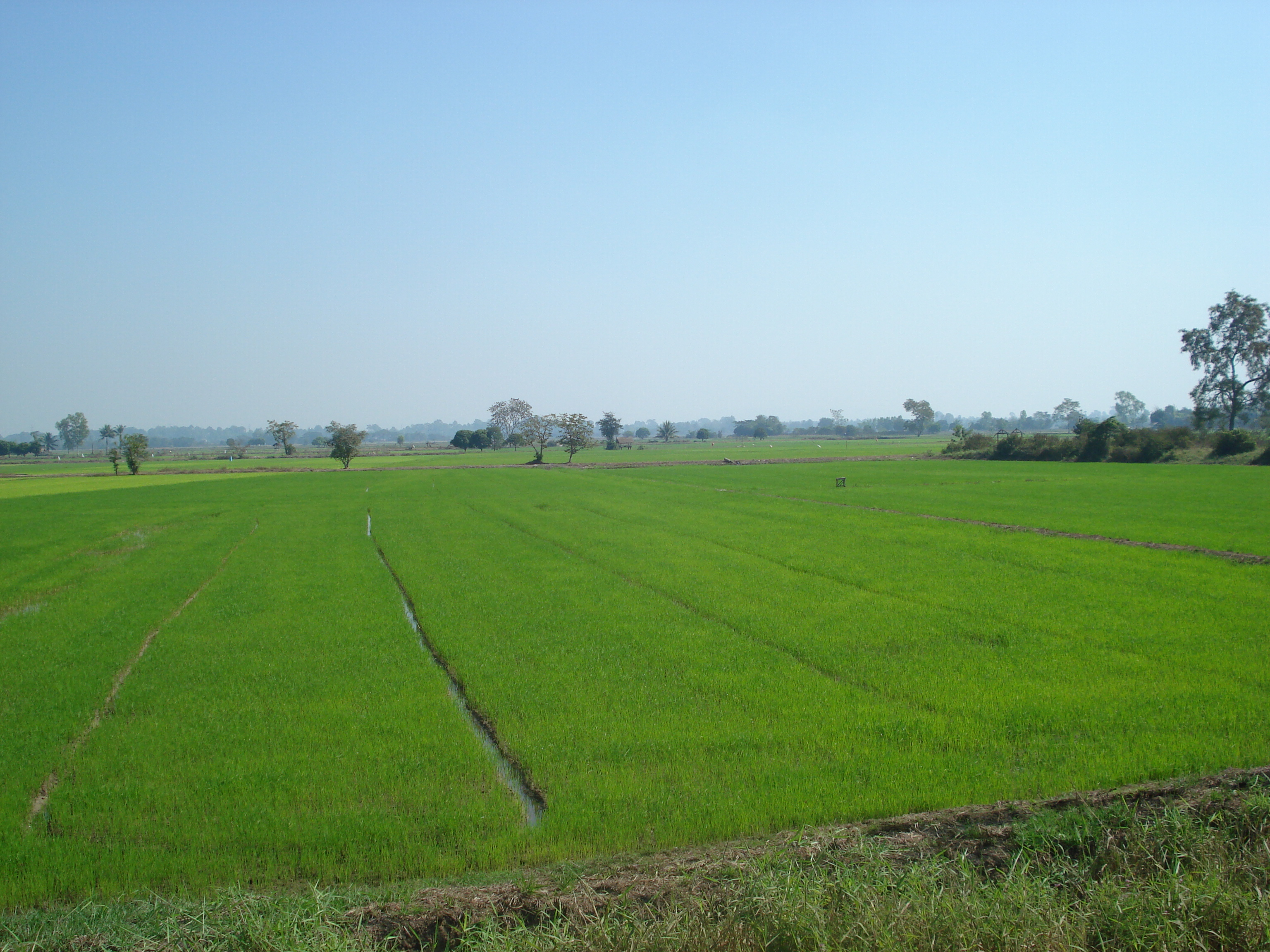 Picture Thailand Phitsanulok Singhawat Road 2008-01 5 - Tour Singhawat Road