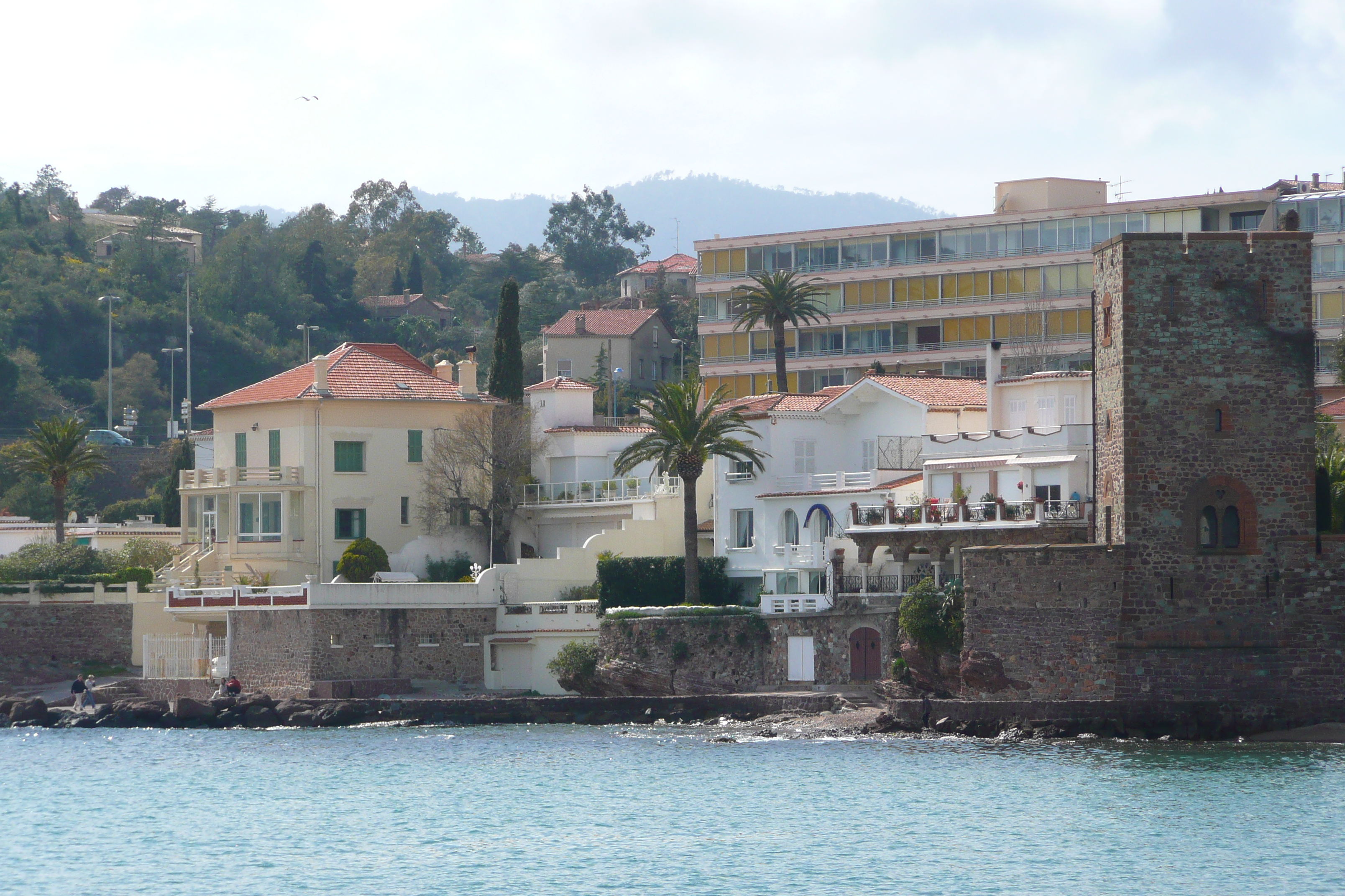 Picture France La Napoule Port La Napoule 2008-03 19 - Discovery Port La Napoule