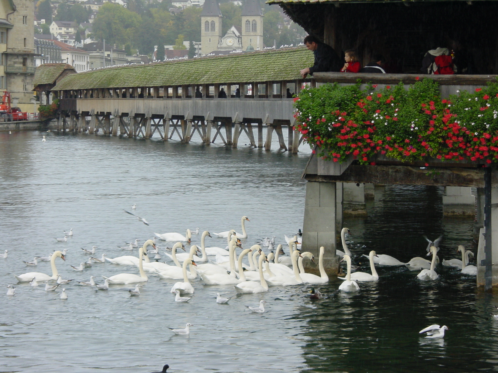 Picture Swiss Lucerne 2001-10 4 - Tours Lucerne