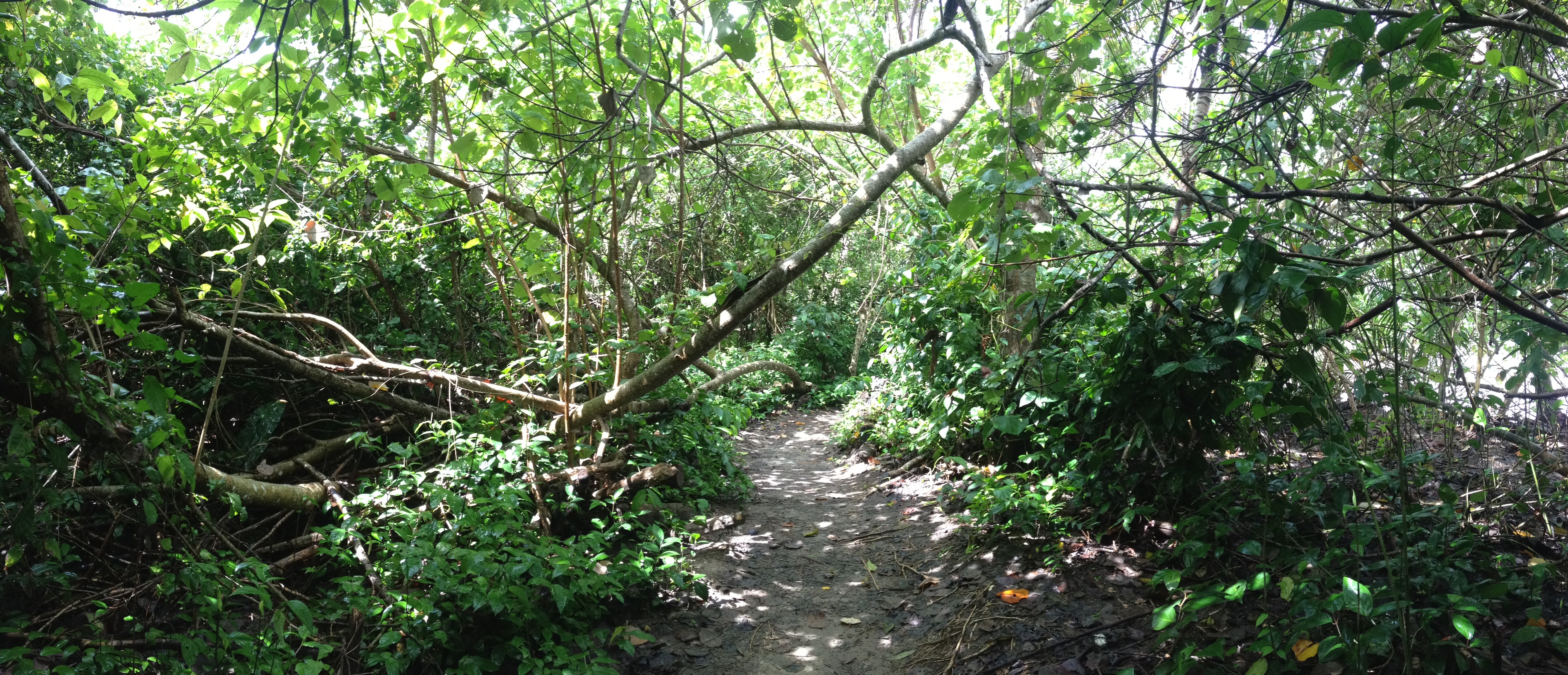 Picture Costa Rica Cahuita 2015-03 16 - History Cahuita